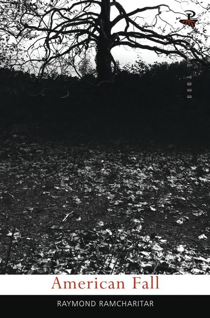 Vorderes Coverbild American Fall