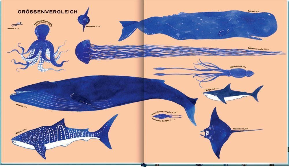 Beispielinhalt (Bild) Die geheime Welt der Wale