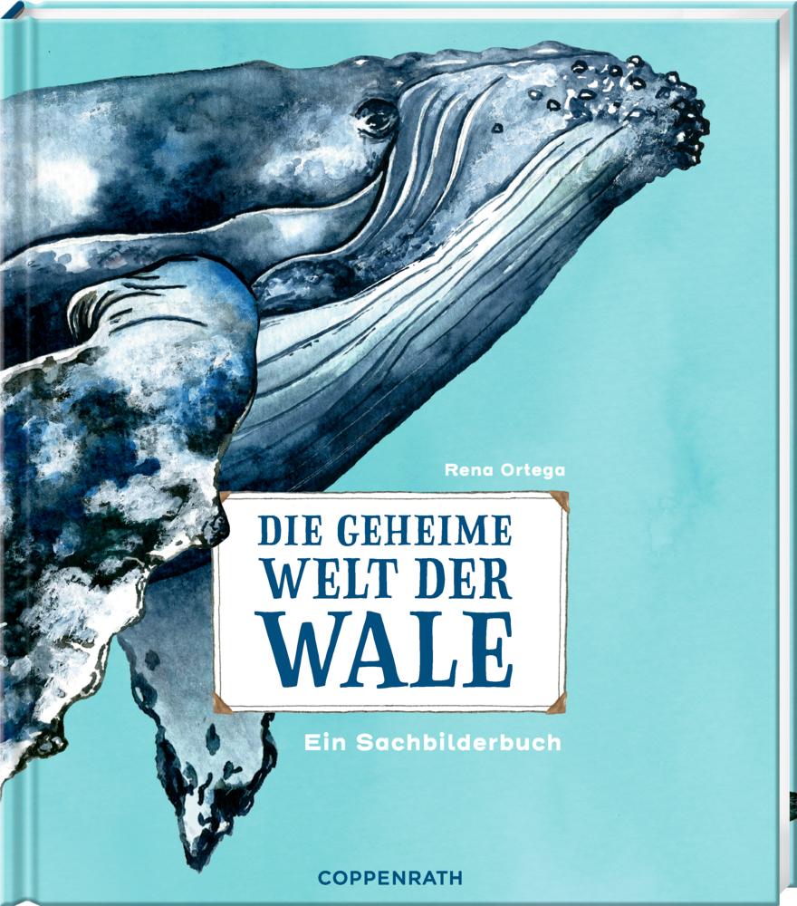 Vorderes Coverbild Die geheime Welt der Wale