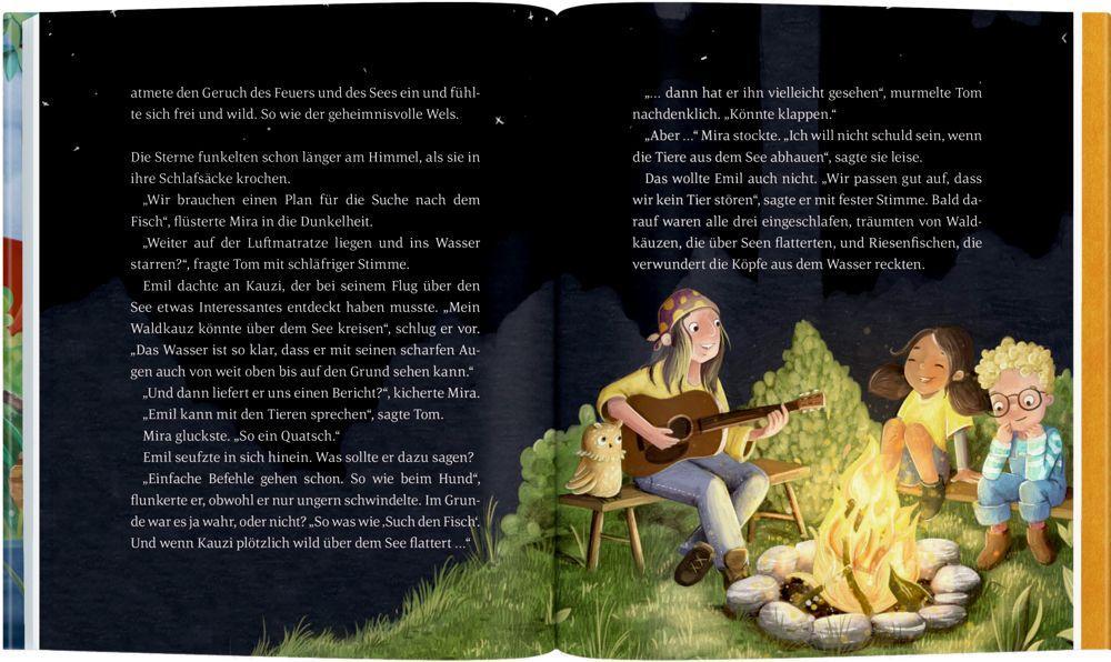 Beispielinhalt (Bild) Emil Einstein (Bd. 3)