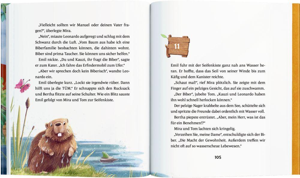 Beispielinhalt (Bild) Emil Einstein (Bd. 3)