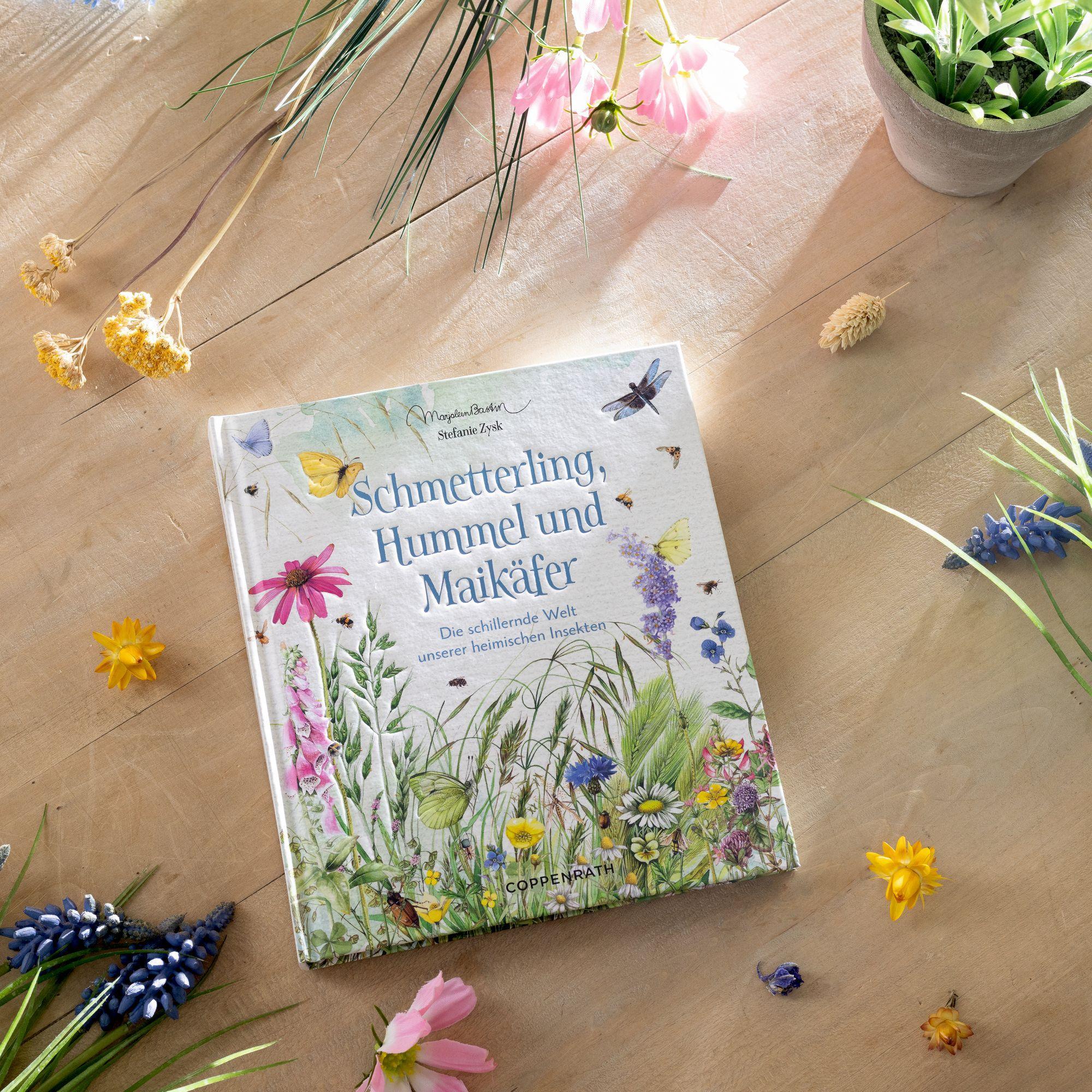 Beispielinhalt (Bild) Schmetterling, Hummel und Maikäfer