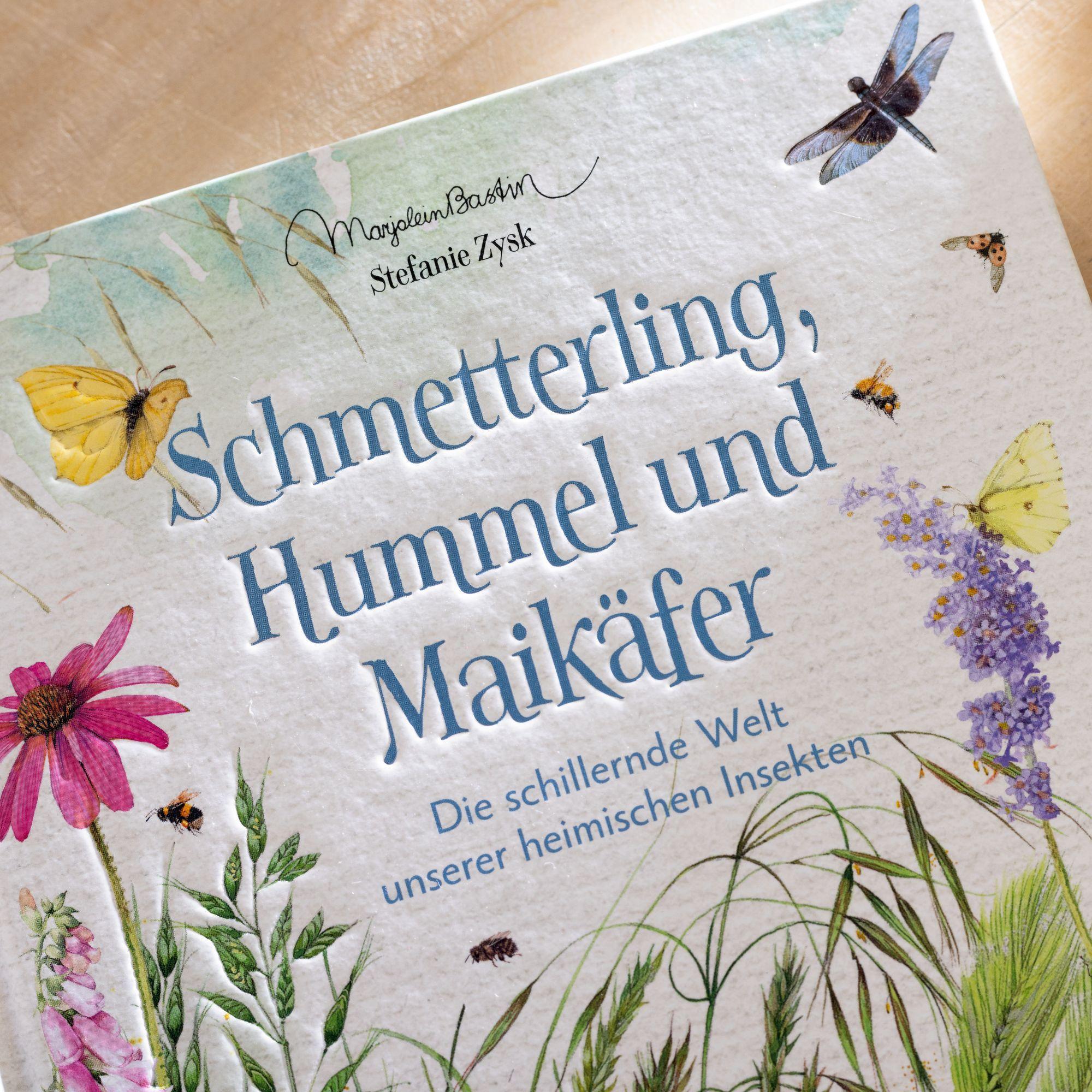Beispielinhalt (Bild) Schmetterling, Hummel und Maikäfer