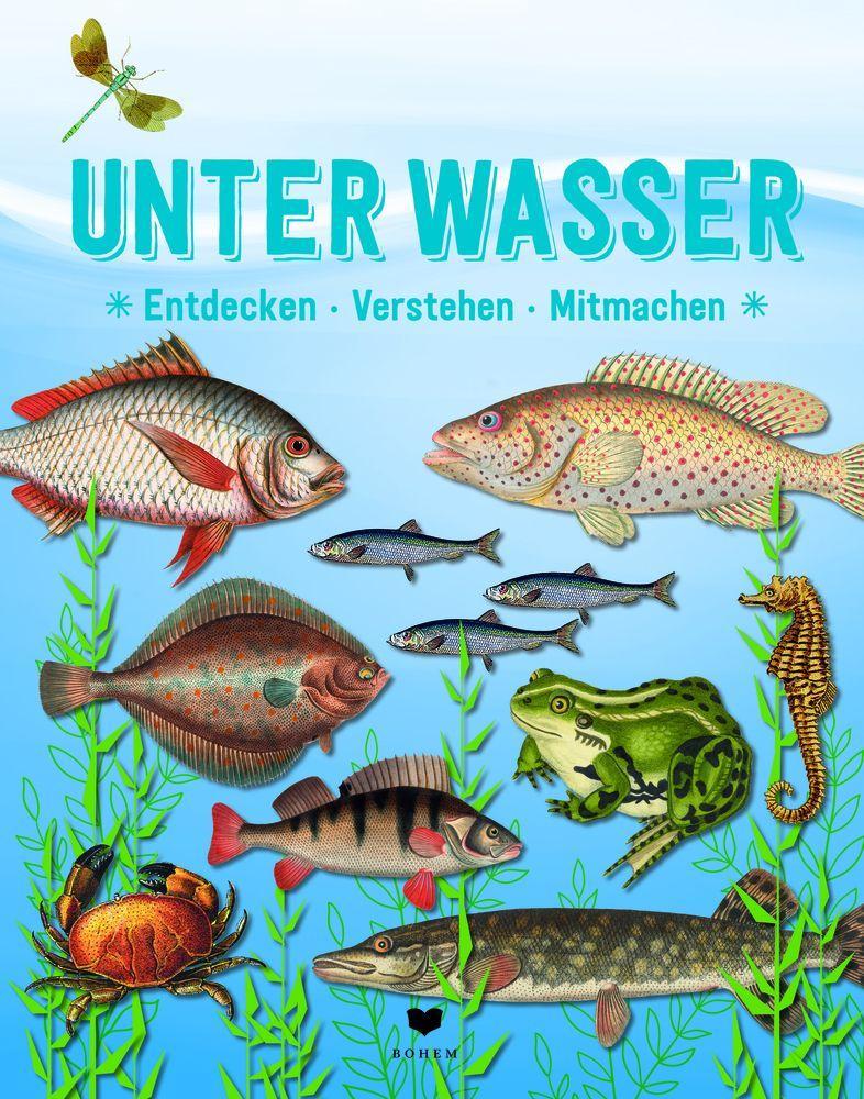 Beispielinhalt (Bild) Der große Baumhauswettbewerb