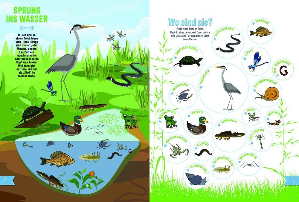 Beispielinhalt (Bild) UNTER WASSER