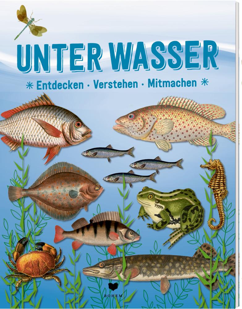 Vorderes Coverbild UNTER WASSER