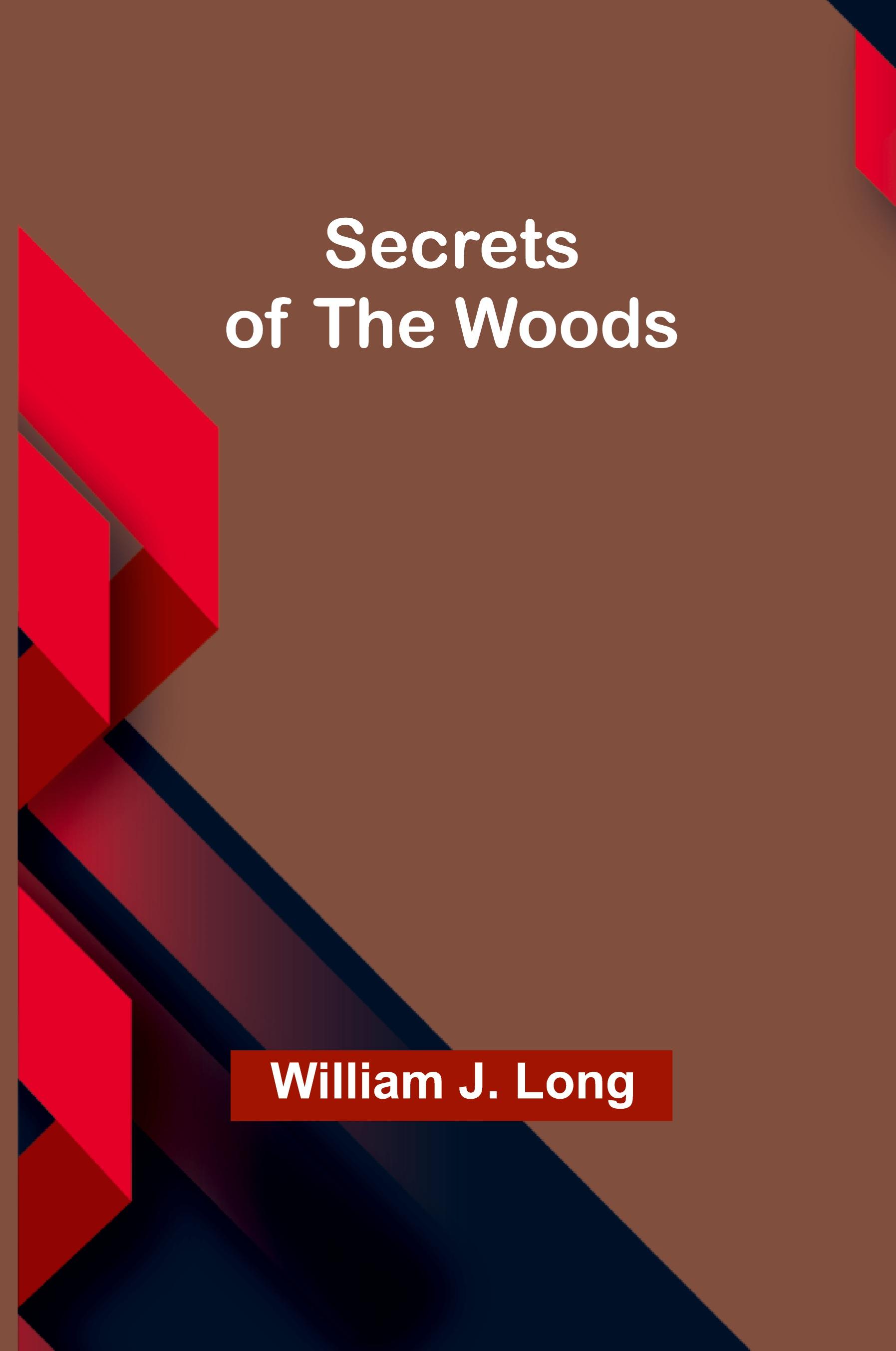 Vorderes Coverbild Surprise! Now You're a Software Project Manager