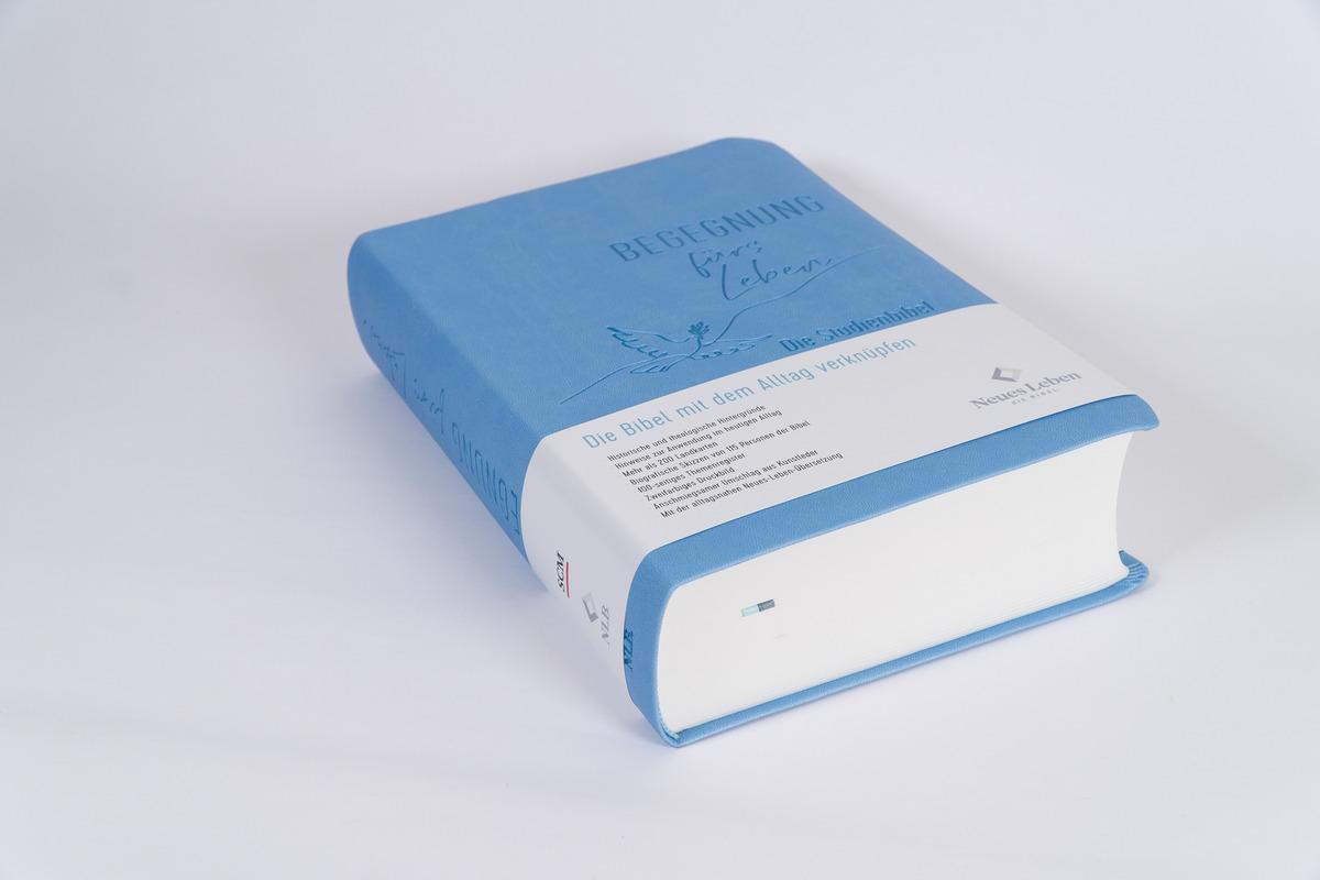 Beispielinhalt (Bild) Begegnung fürs Leben, Kunstleder