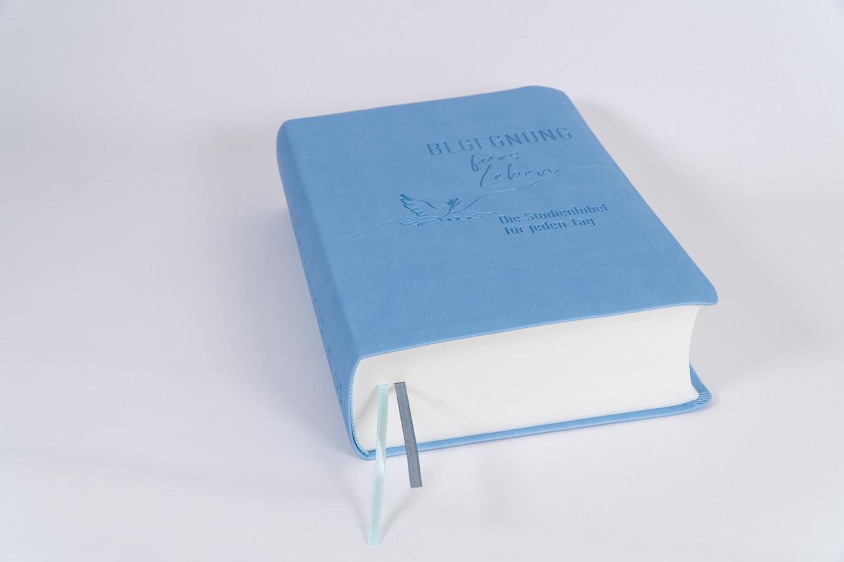 Beispielinhalt (Bild) Begegnung fürs Leben, Kunstleder