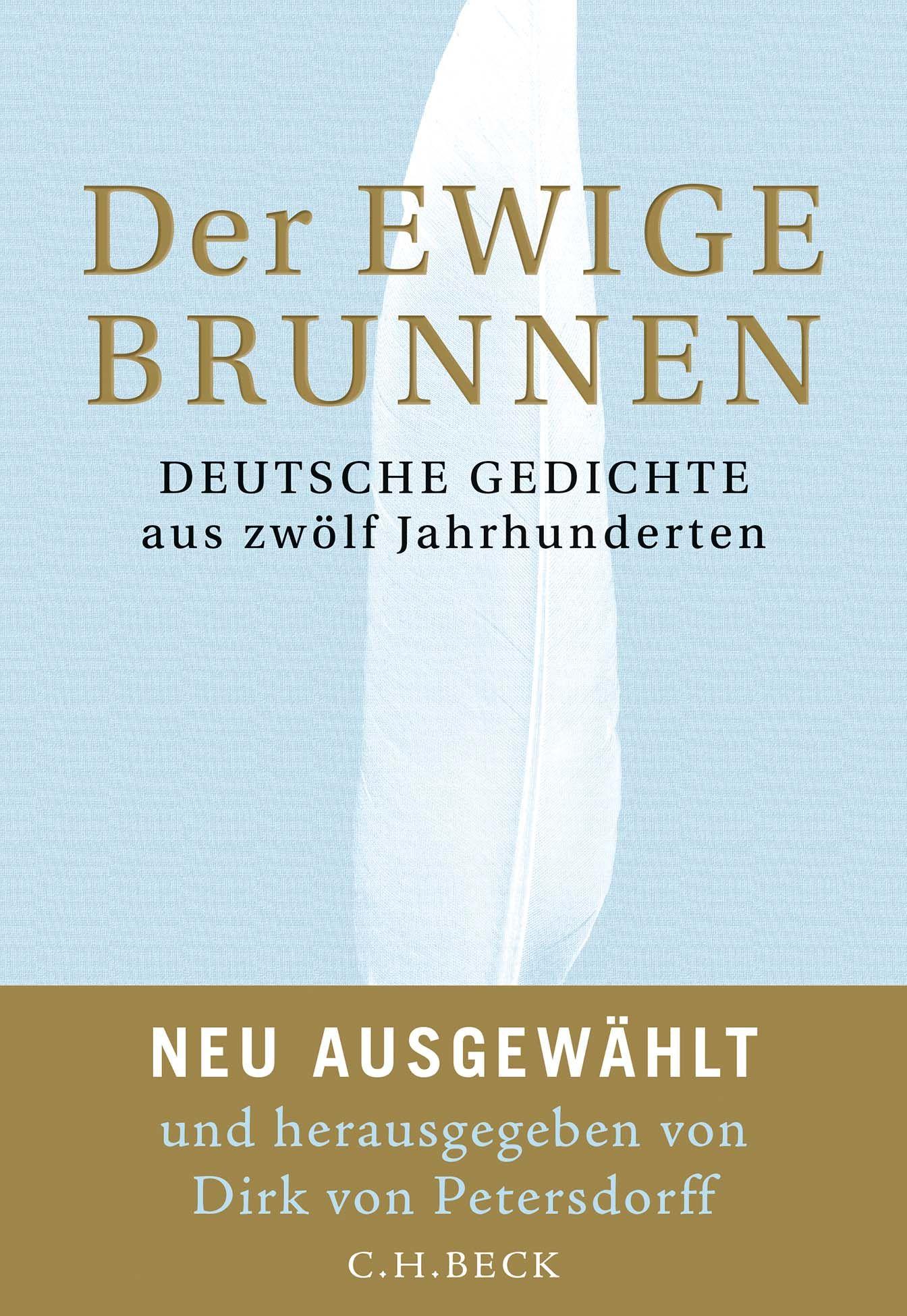 Vorderes Coverbild Der ewige Brunnen