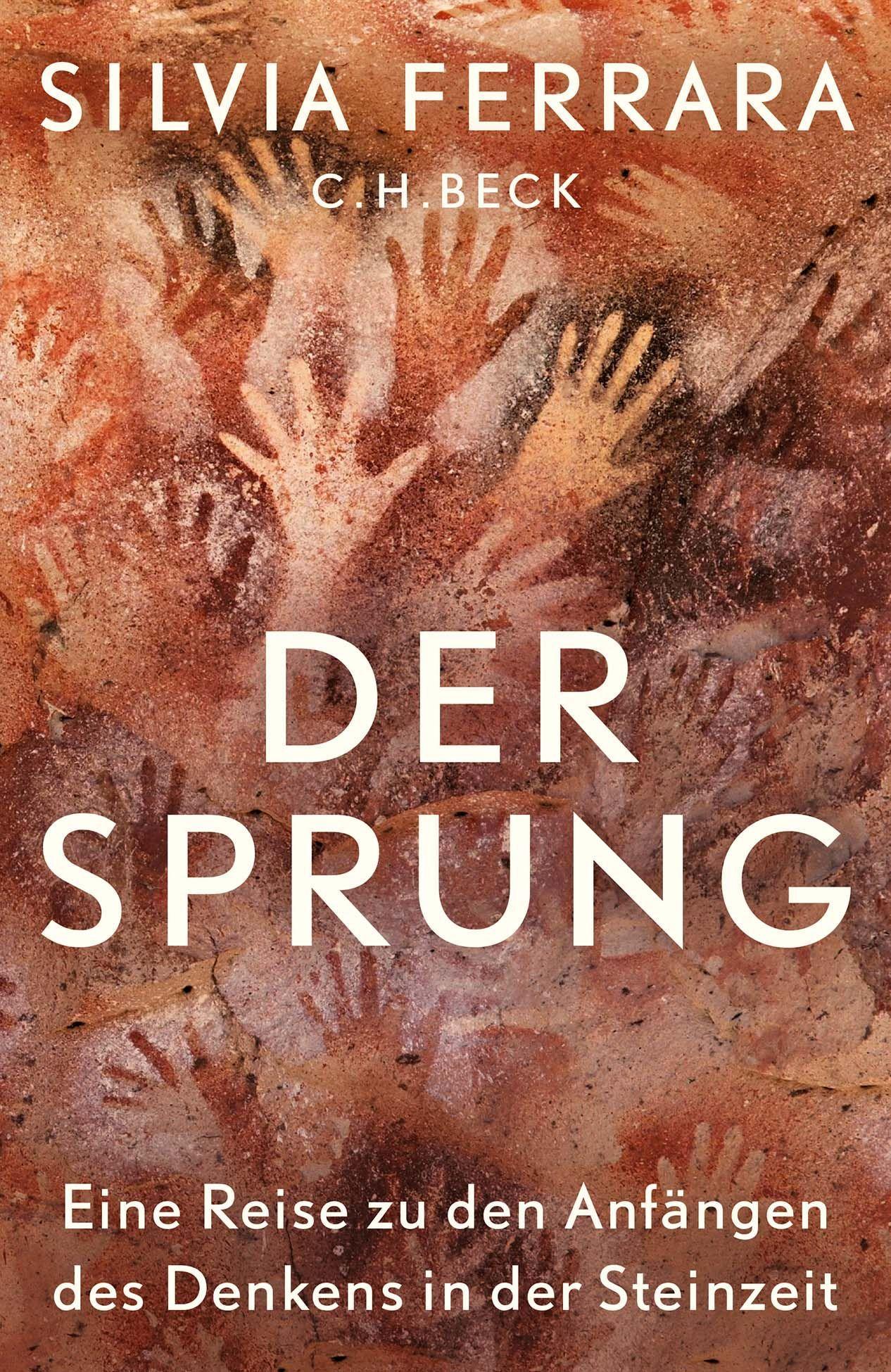 Vorderes Coverbild Der Sprung