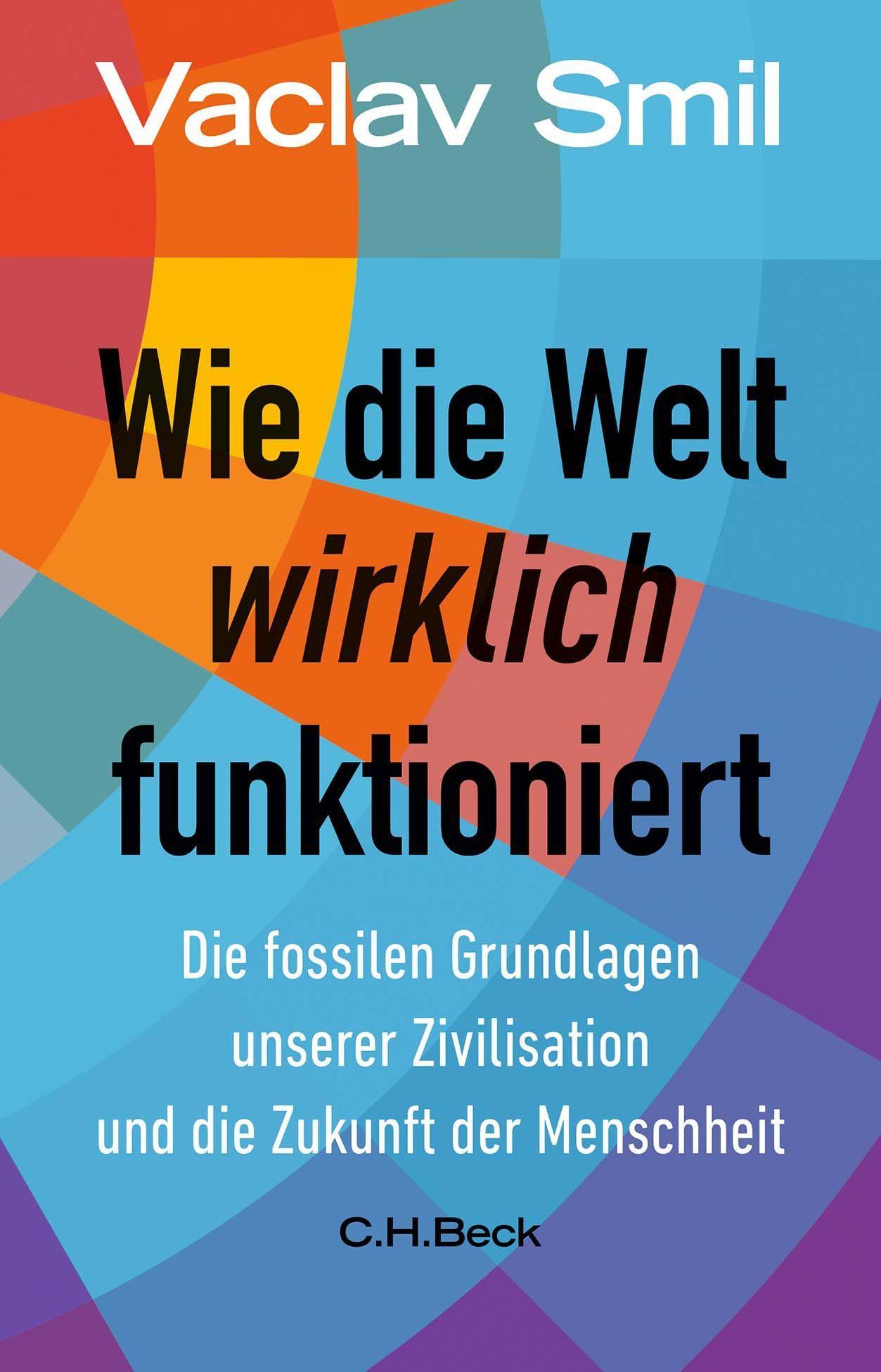 Vorderes Coverbild Wie die Welt wirklich funktioniert
