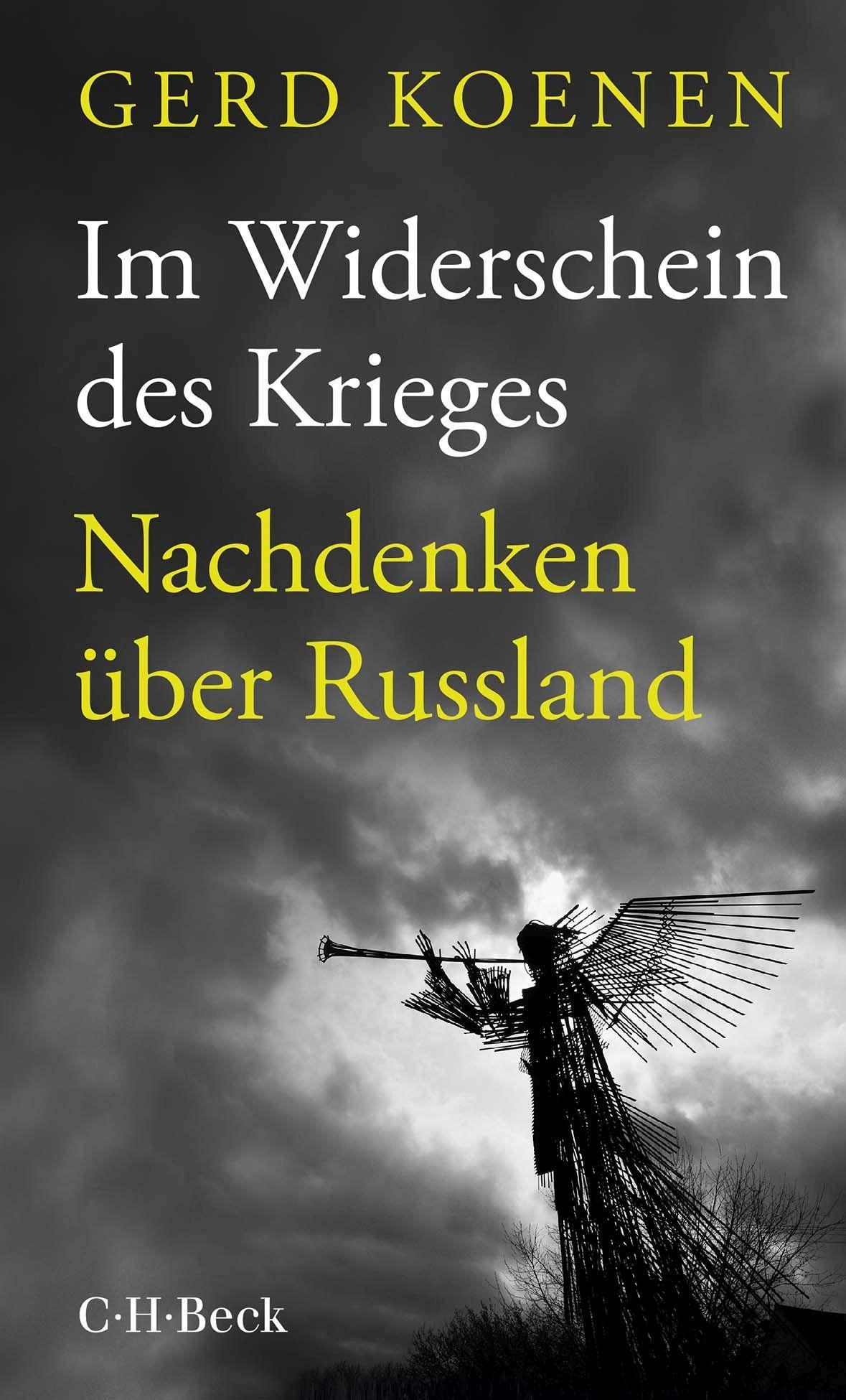 Vorderes Coverbild Im Widerschein des Krieges