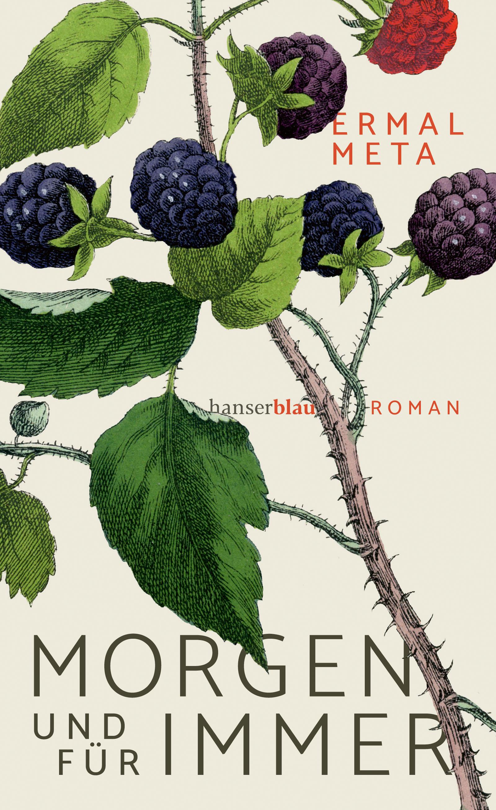 Vorderes Coverbild Morgen und für immer