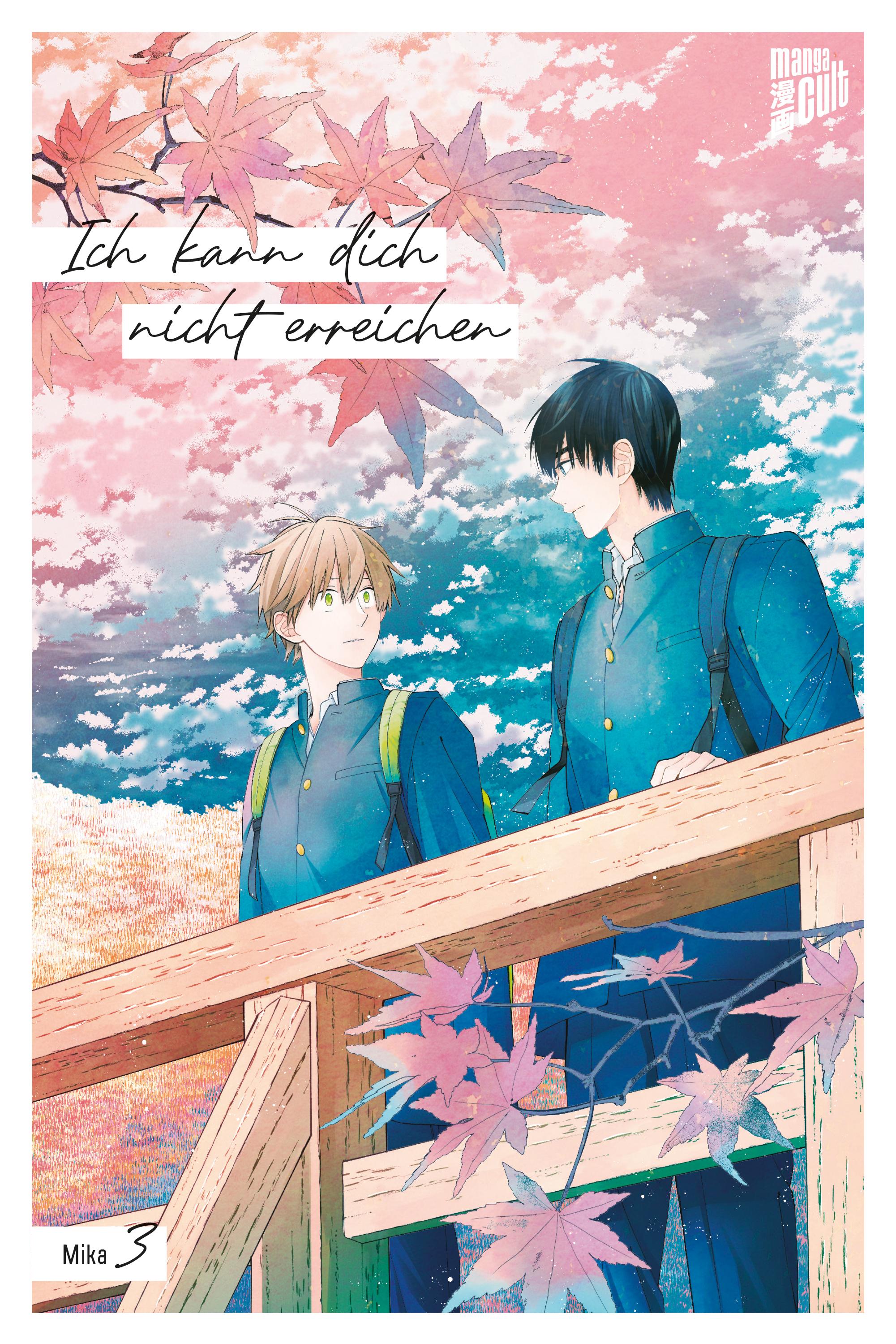 Vorderes Coverbild Ich kann dich nicht erreichen 4