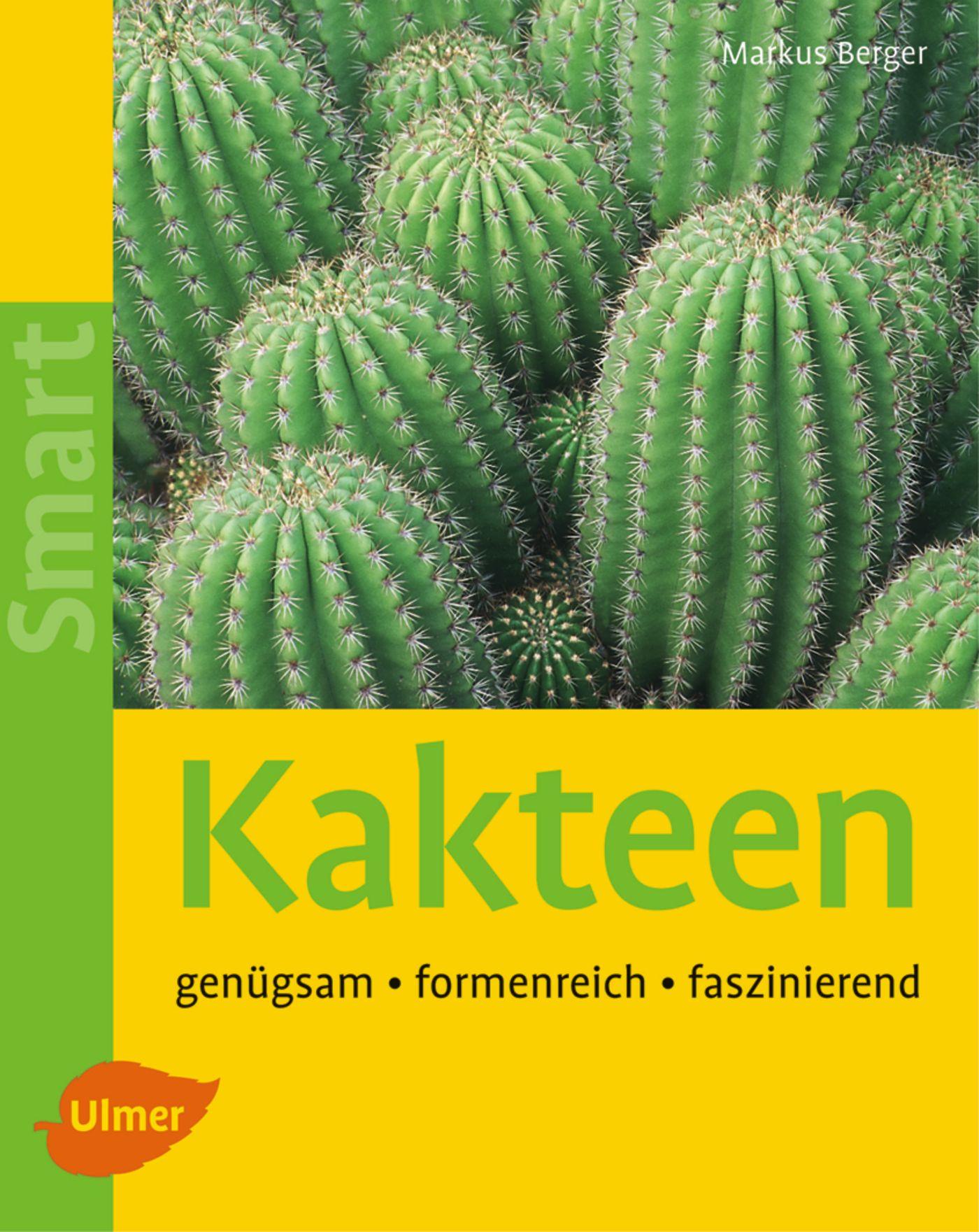 Vorderes Coverbild Kakteen