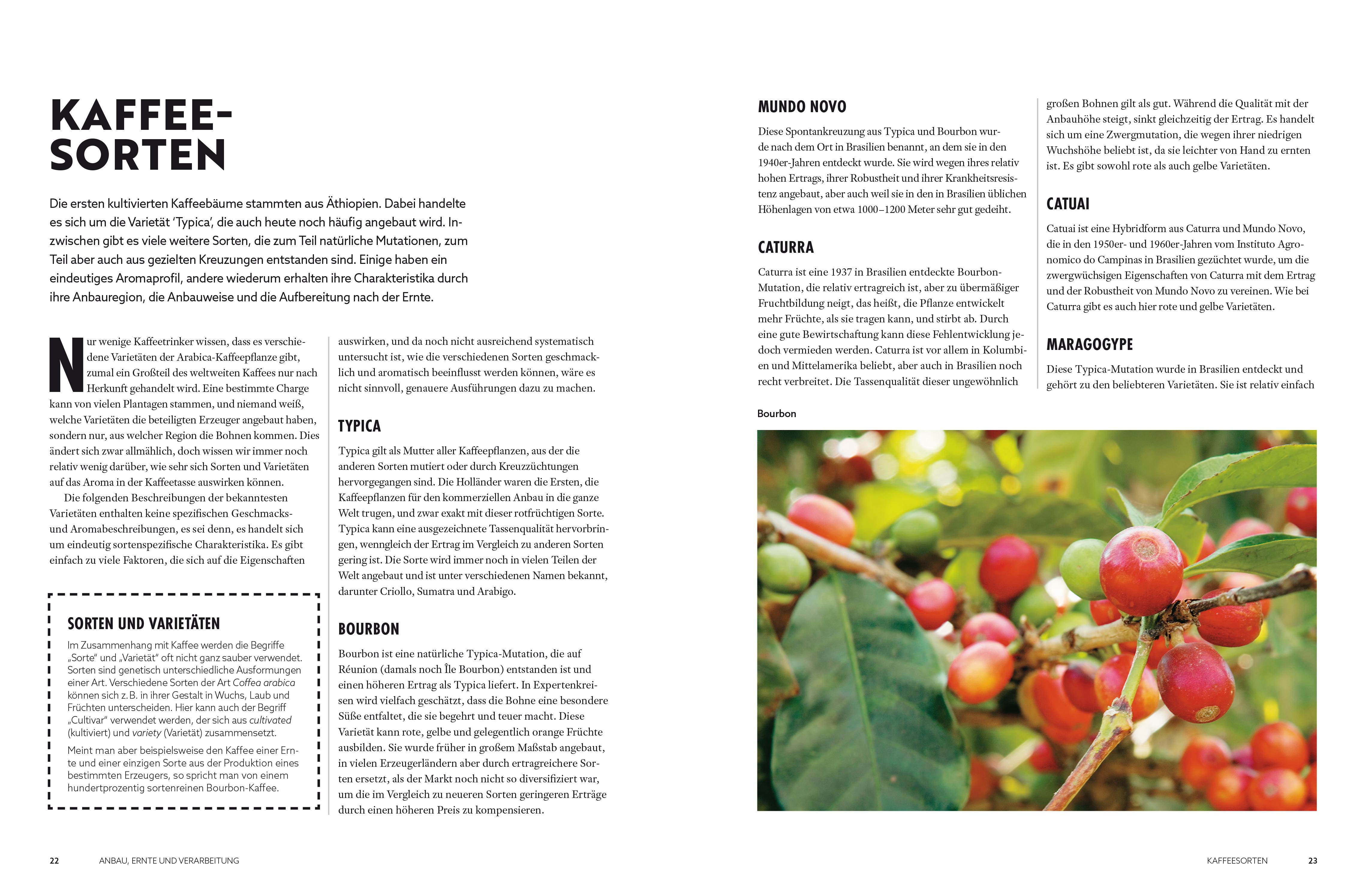 Beispielinhalt (Bild) Der Kaffeeatlas