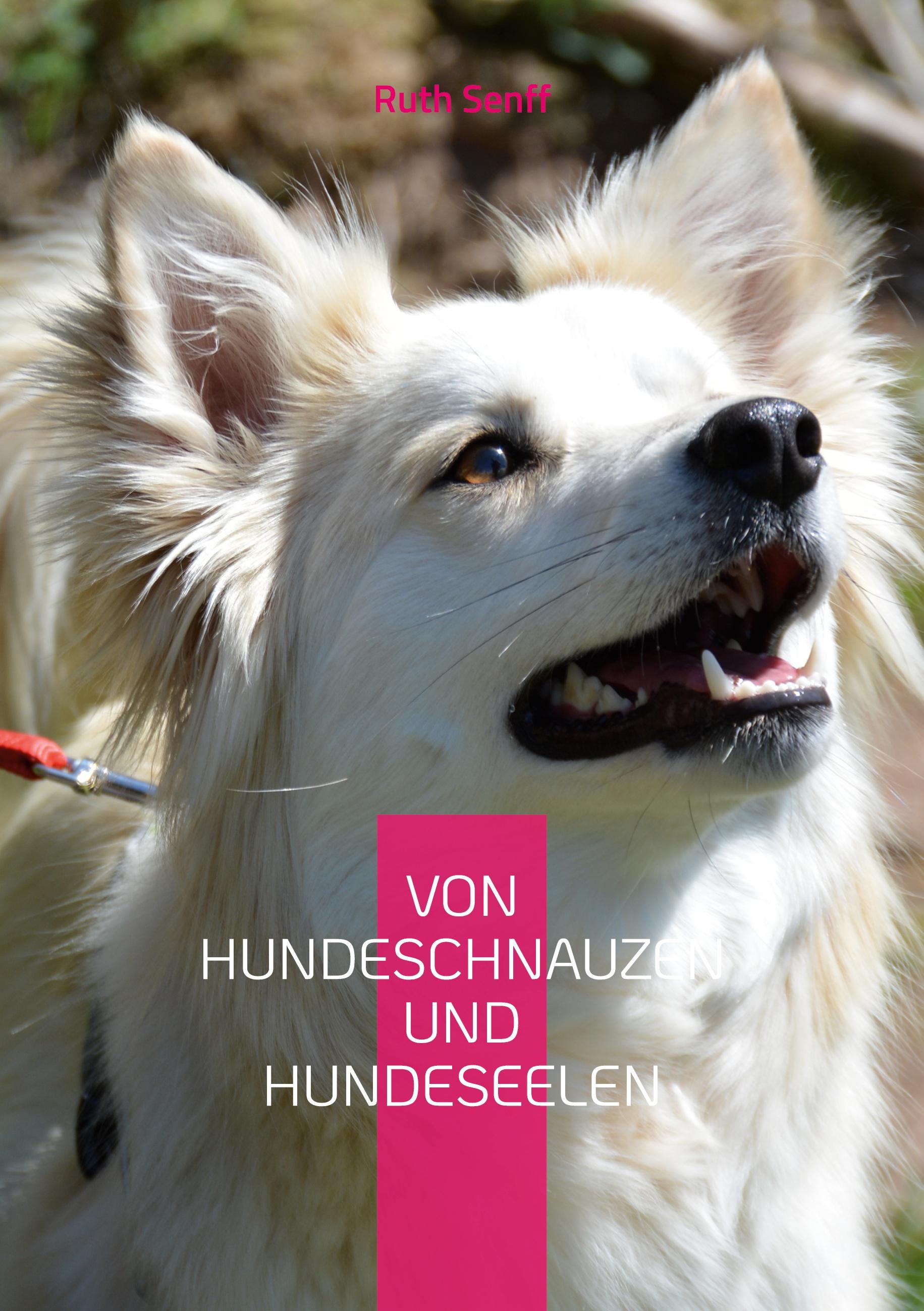 Vorderes Coverbild Von Hundeschnauzen und Hundeseelen