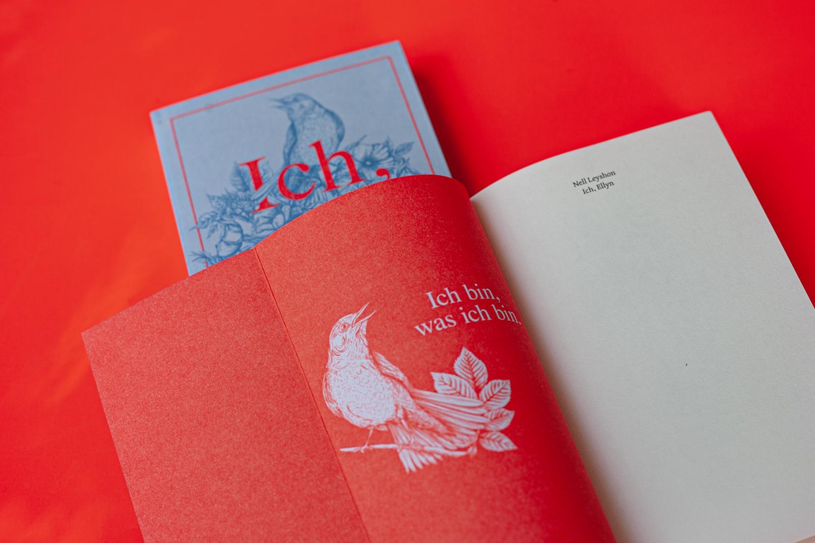 Beispielinhalt (Bild) Ich, Ellyn