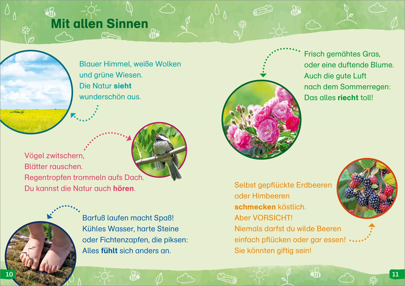 Beispielinhalt (Bild) WAS IST WAS Erstes Lesen easy! Band 11. Raus in die Natur