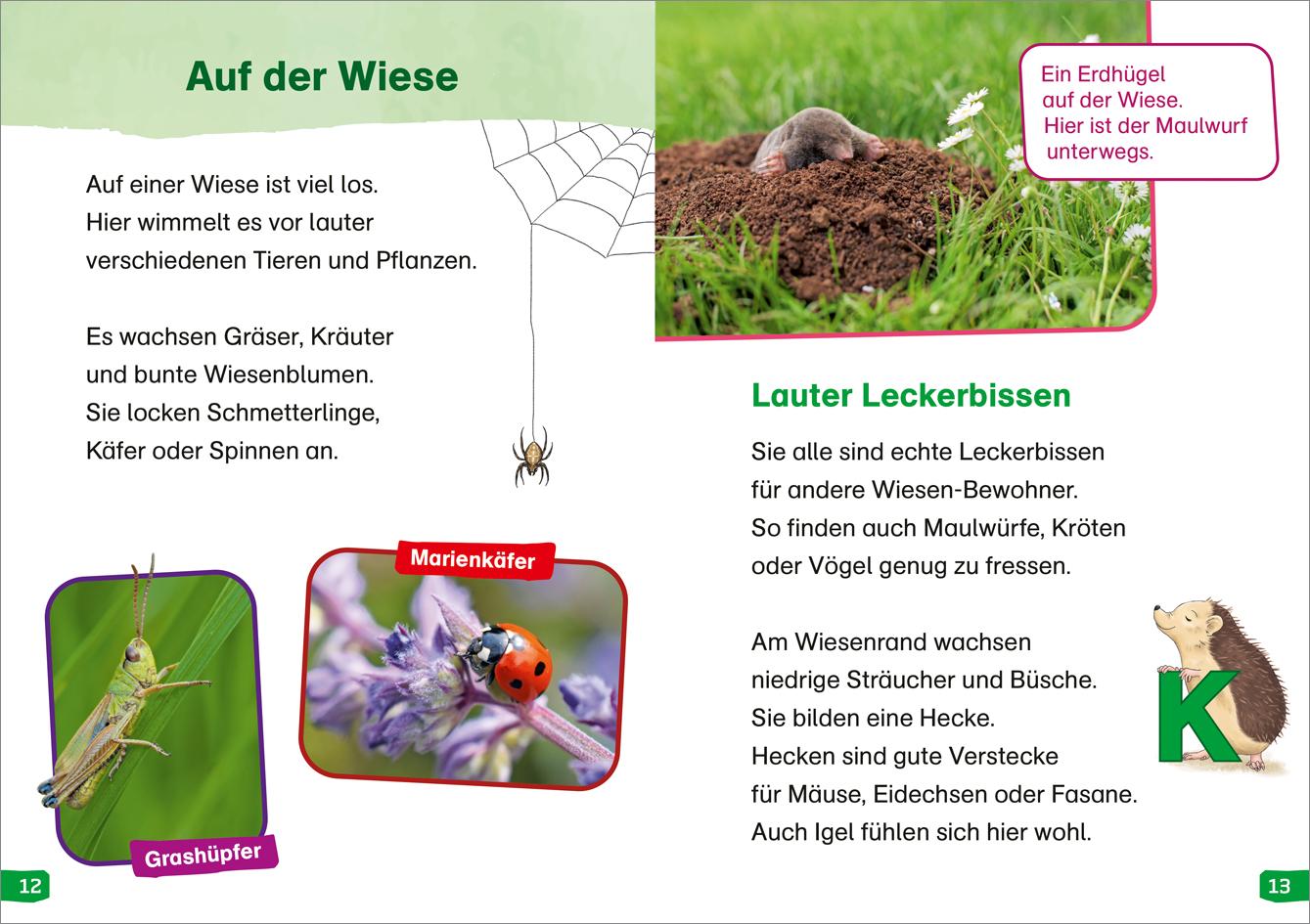 Beispielinhalt (Bild) WAS IST WAS Erstes Lesen easy! Band 11. Raus in die Natur
