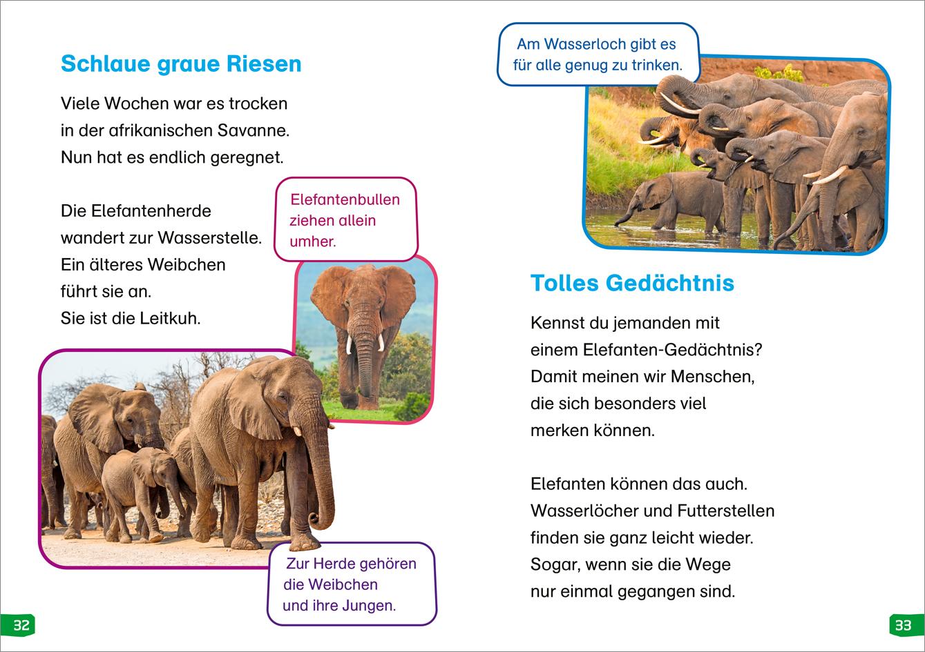 Beispielinhalt (Bild) WAS IST WAS Erstes Lesen easy! Band 12. Echt schlaue Tiere