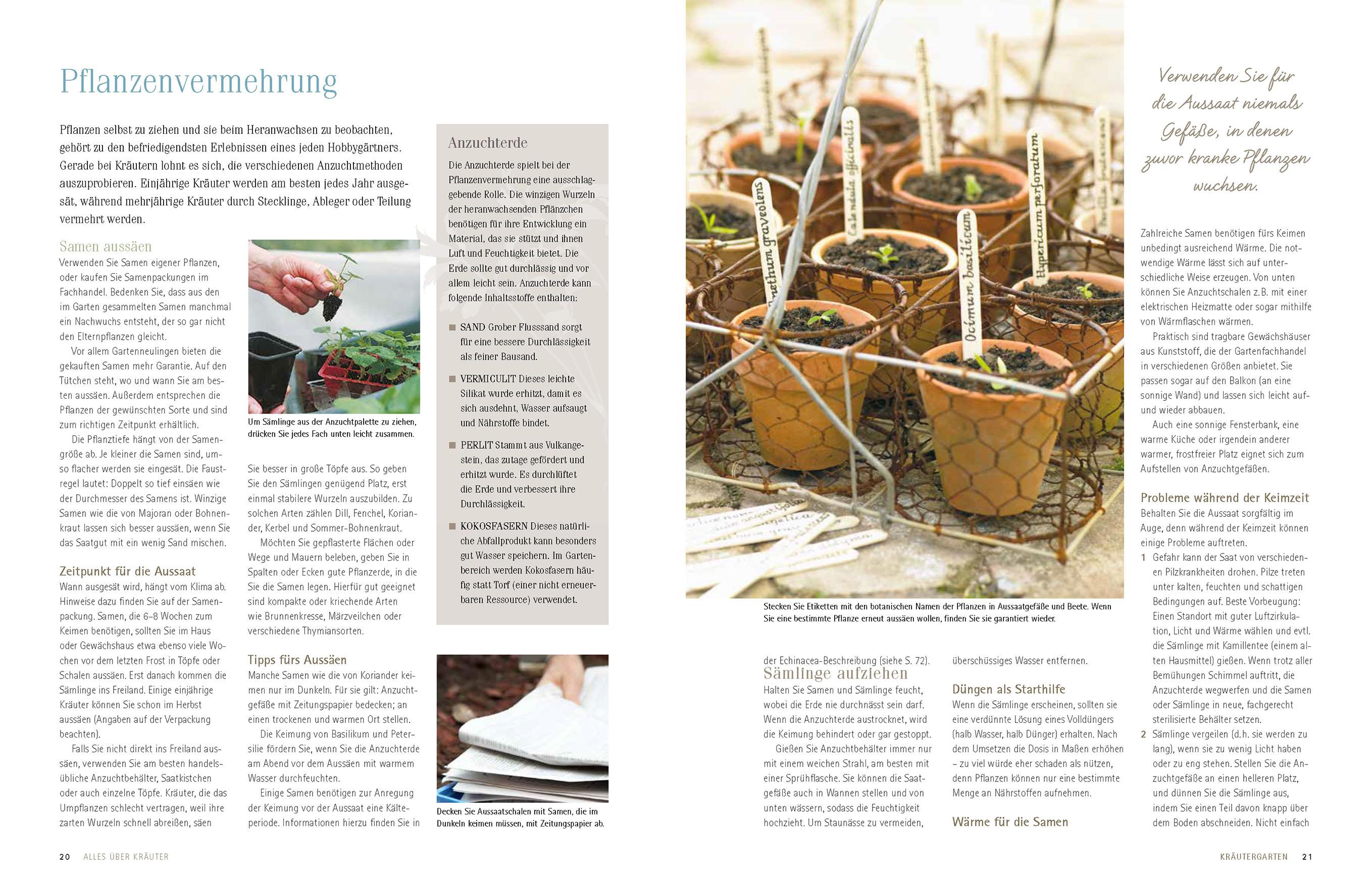 Beispielinhalt (Bild) Alles über Kräuter