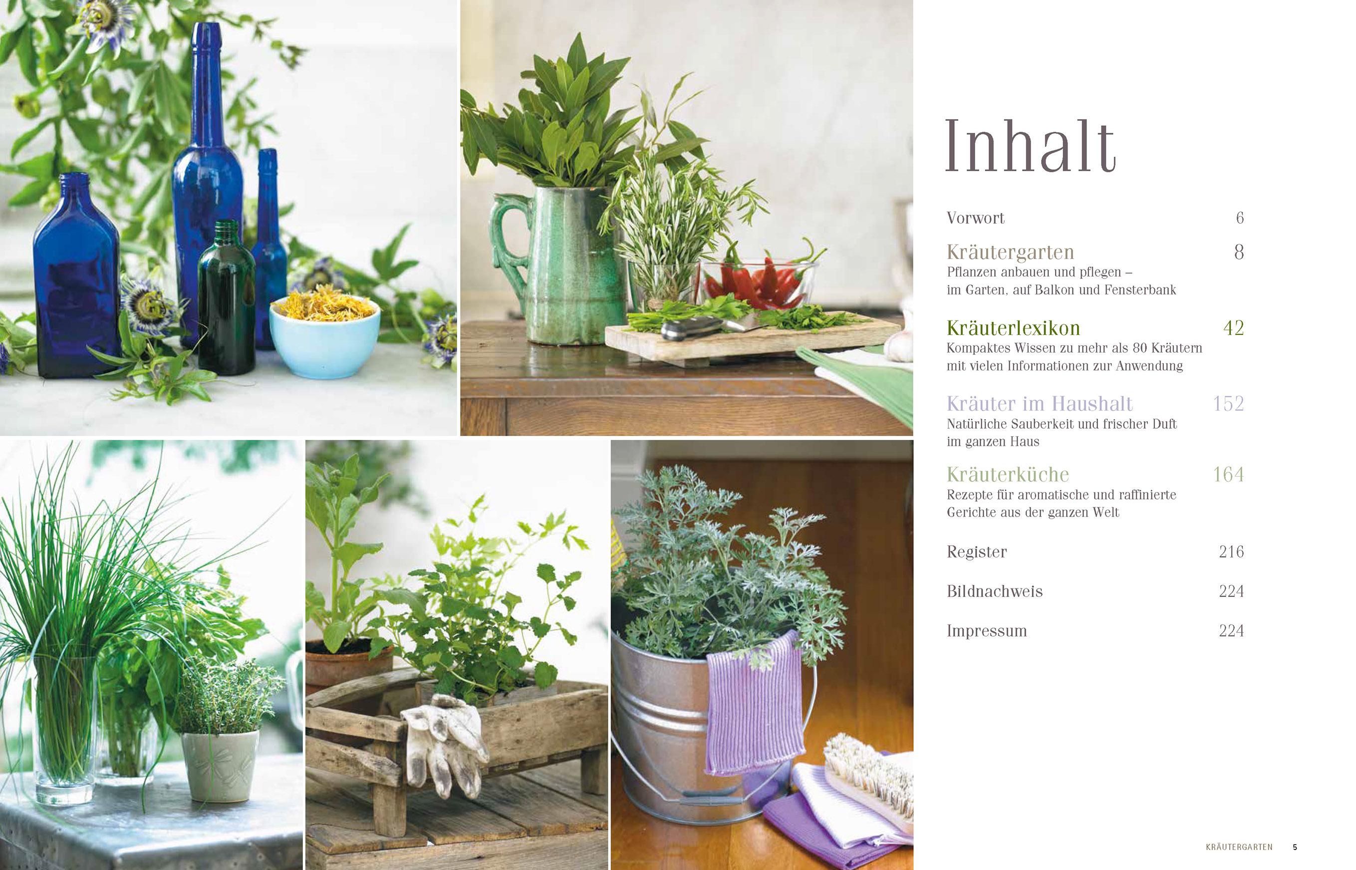 Beispielinhalt (Bild) Alles über Kräuter