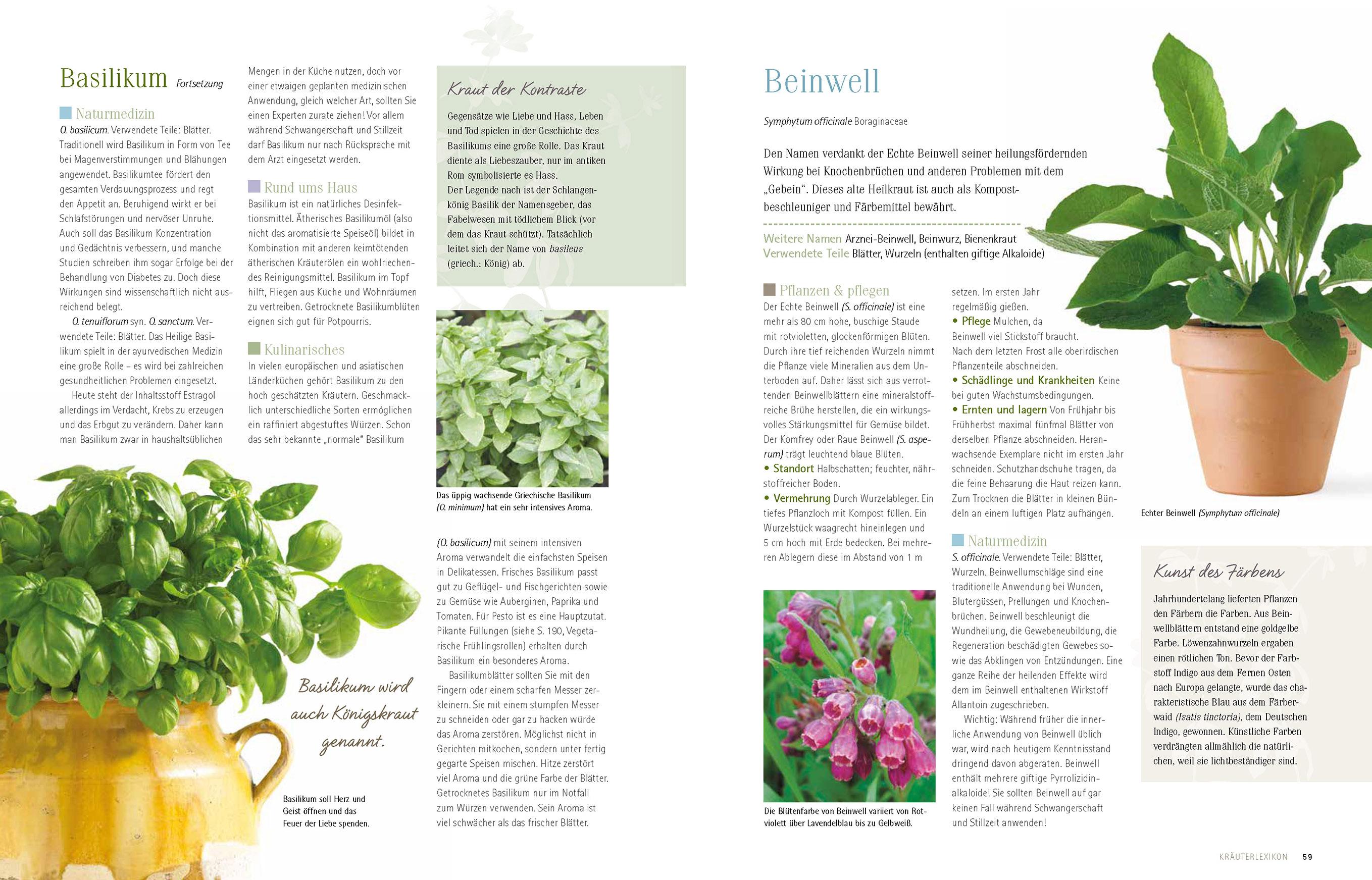 Beispielinhalt (Bild) Alles über Kräuter