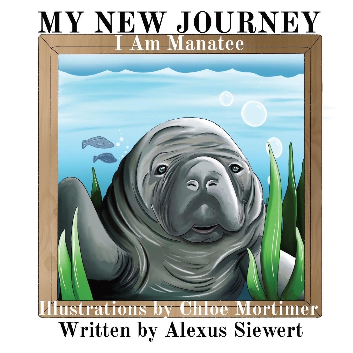 Vorderes Coverbild MY NEW JOURNEY
