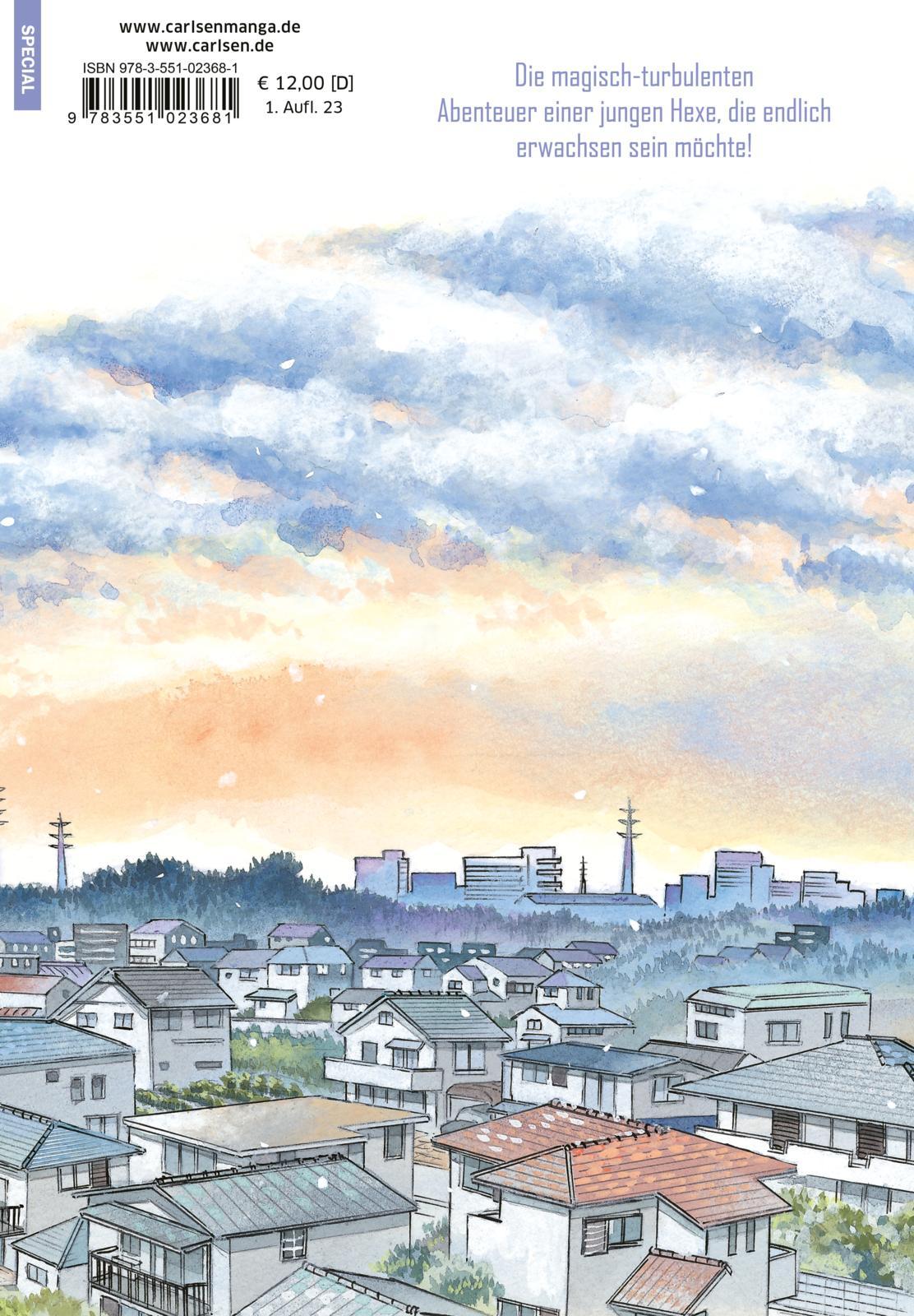 Rückseitencover Ran und die graue Welt 6