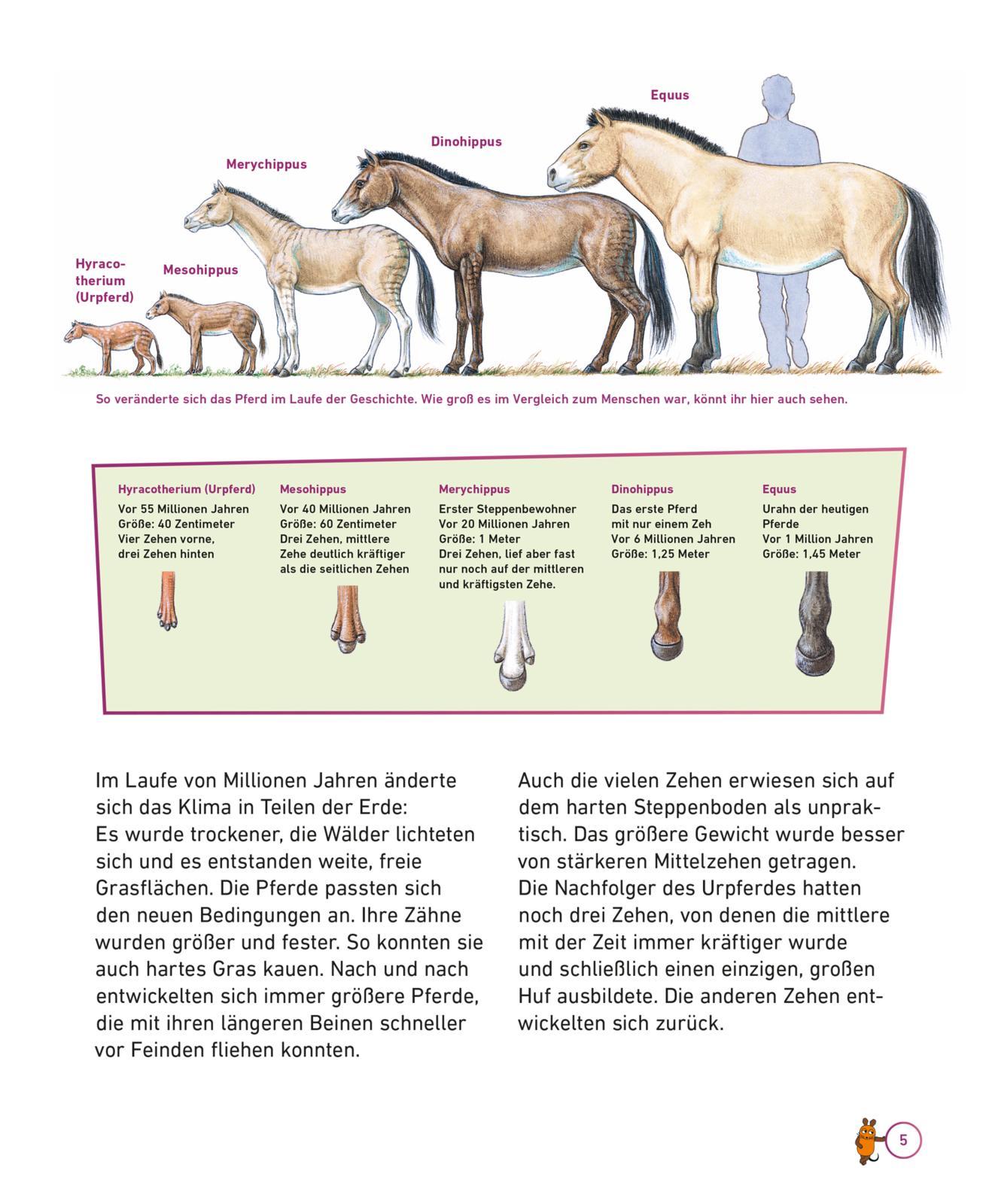 Beispielinhalt (Bild) Frag doch mal ... die Maus: Pferde