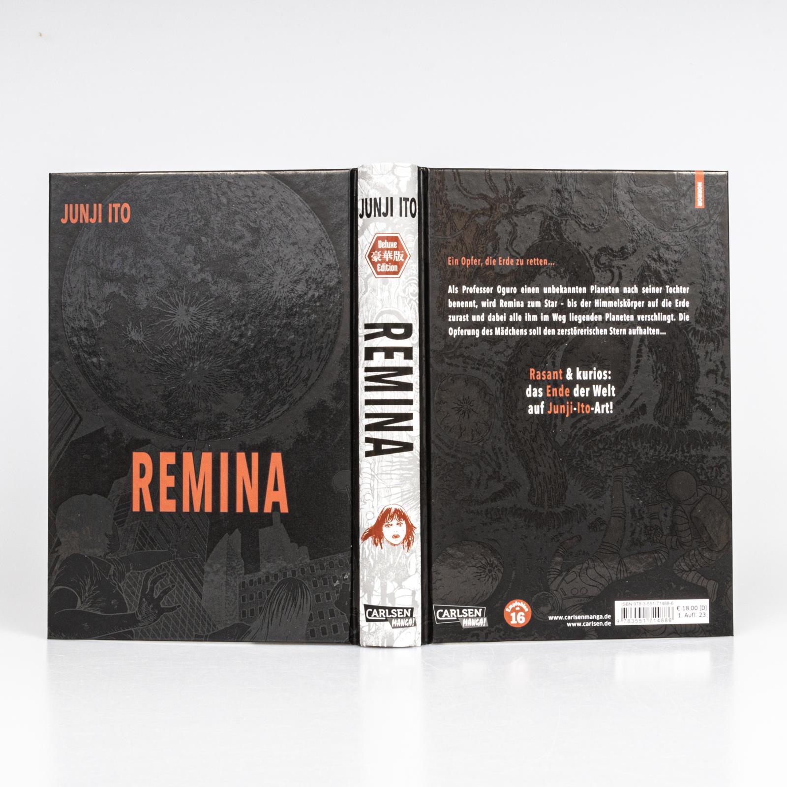 Beispielinhalt (Bild) Remina