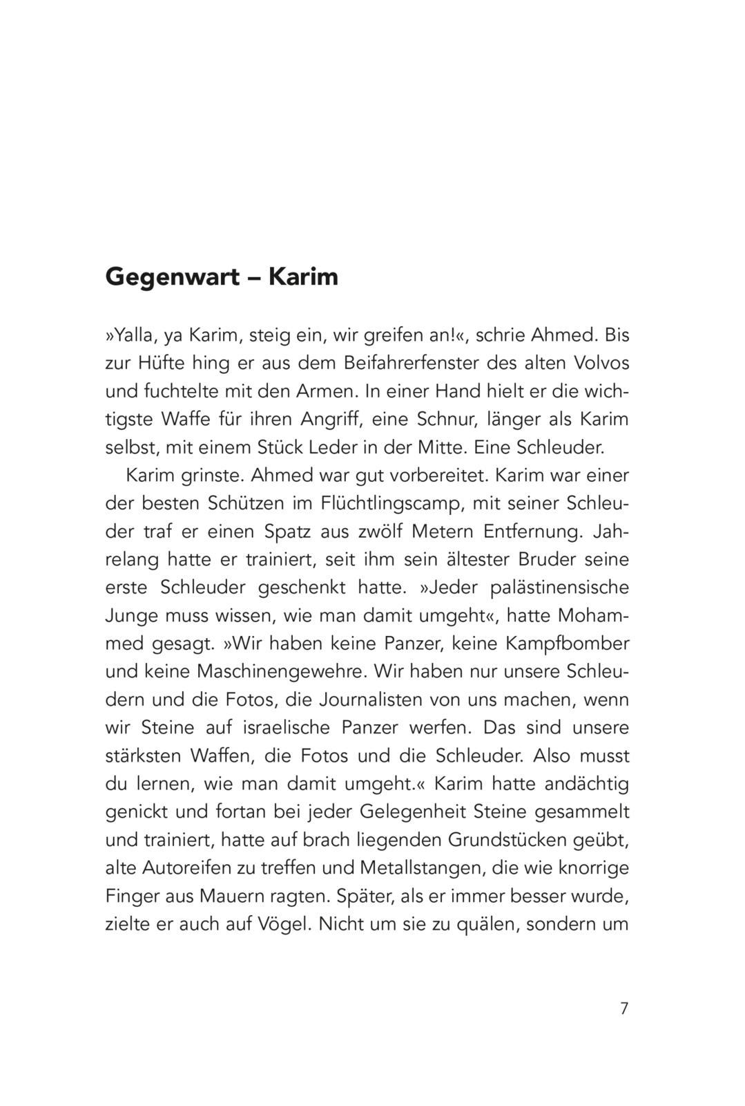 Beispielinhalt (Bild) Über den Dächern von Jerusalem