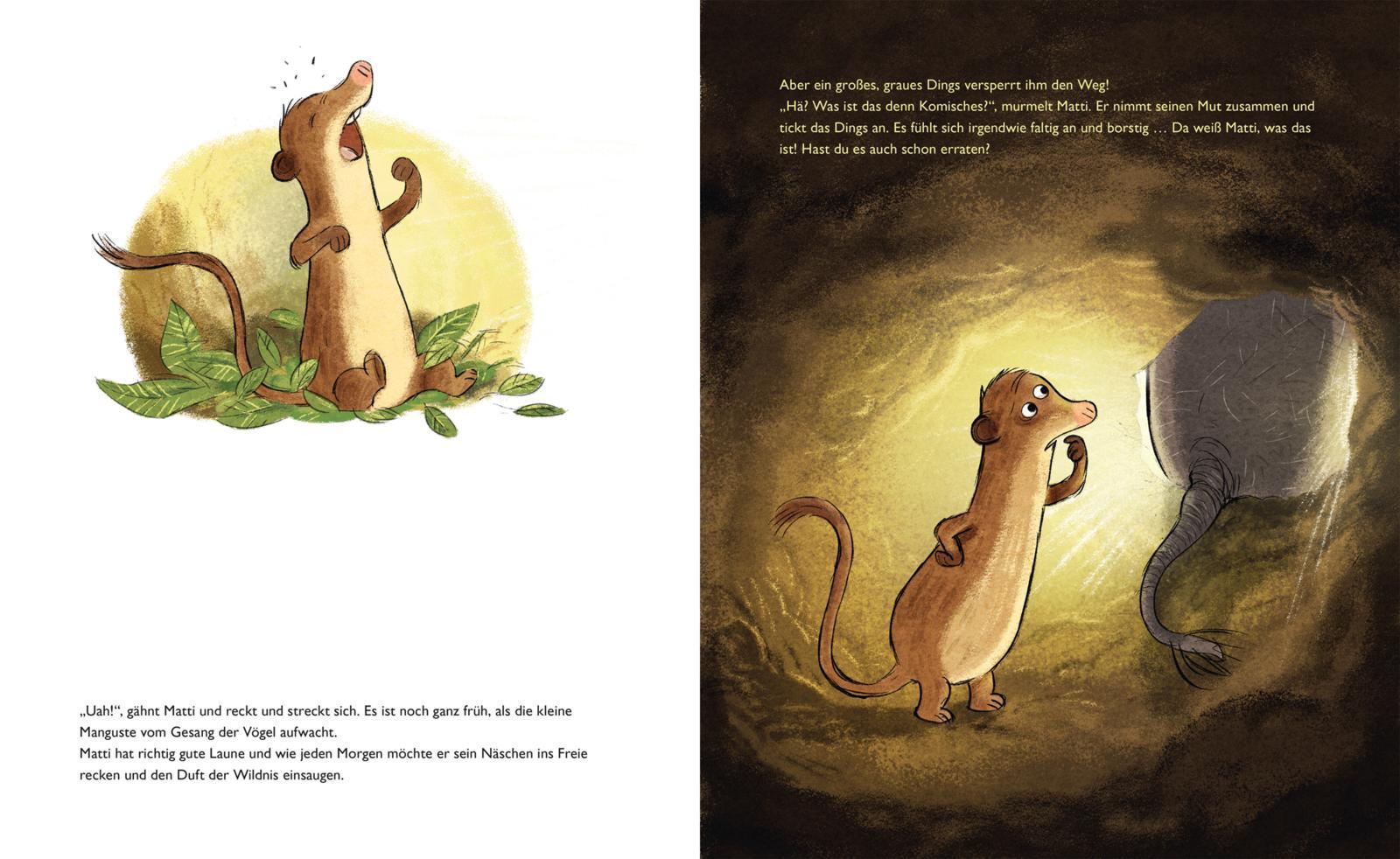 Beispielinhalt (Bild) Elefanten weinen nicht