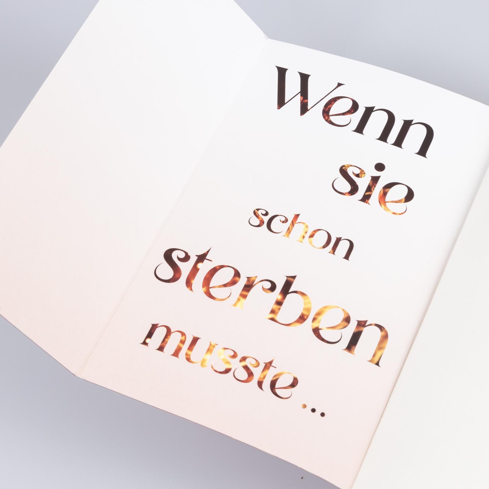 Beispielinhalt (Bild) Fire Fallen (Die Chroniken von Solaris 2)