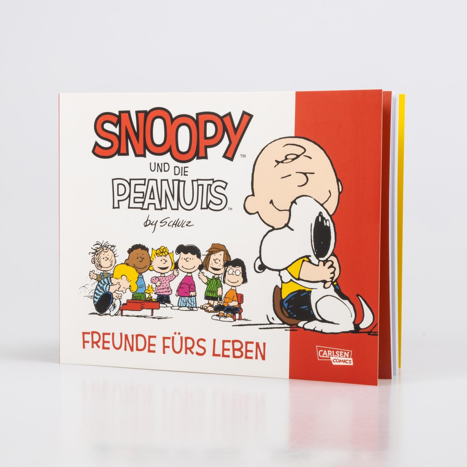 Beispielinhalt (Bild) Snoopy und die Peanuts 1: Freunde fürs Leben