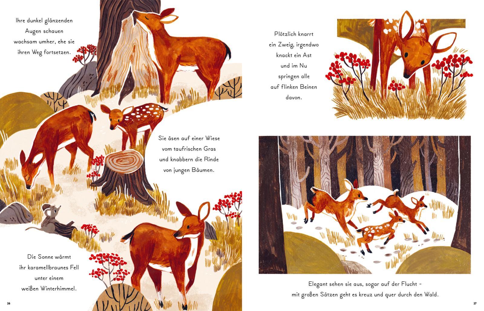 Beispielinhalt (Bild) Kleine und große Wunder der Natur