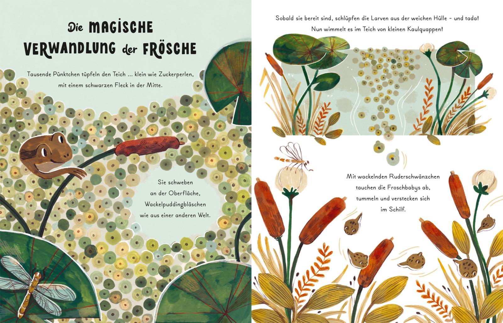 Beispielinhalt (Bild) Kleine und große Wunder der Natur