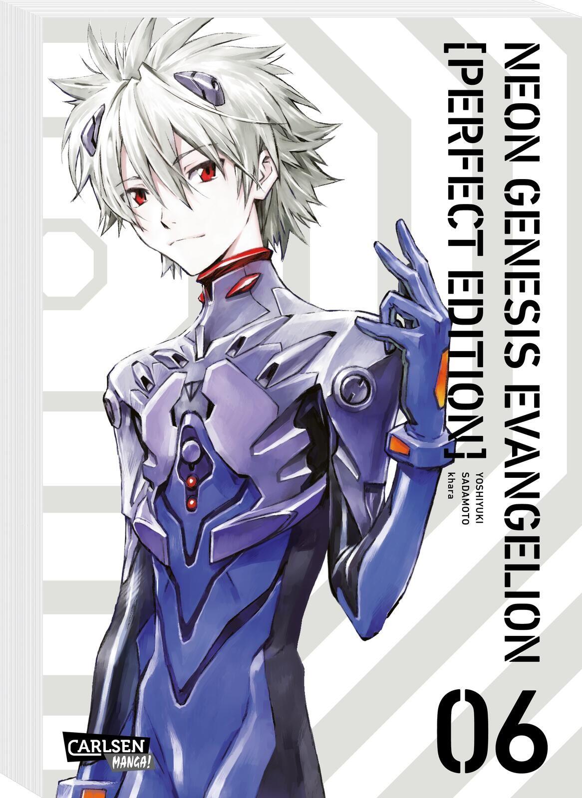 Vorderes Coverbild Neon Genesis Evangelion - Perfect Edition 6