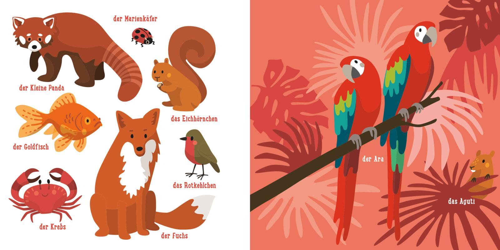 Beispielinhalt (Bild) Baby Pixi (unkaputtbar) 135: Mein Baby-Pixi-Buggybuch: Blauwalblau und andere tolle Farben