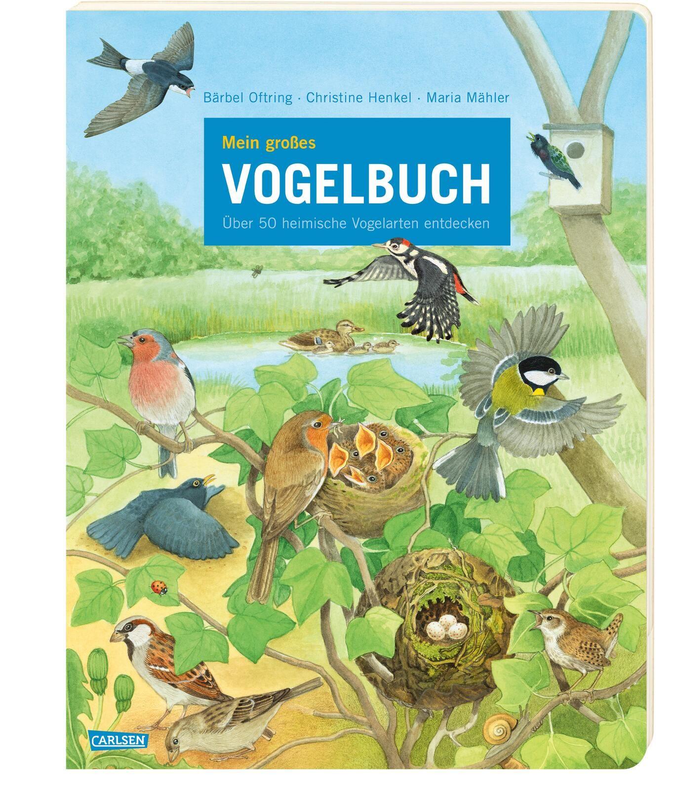 Vorderes Coverbild Mein großes Vogelbuch