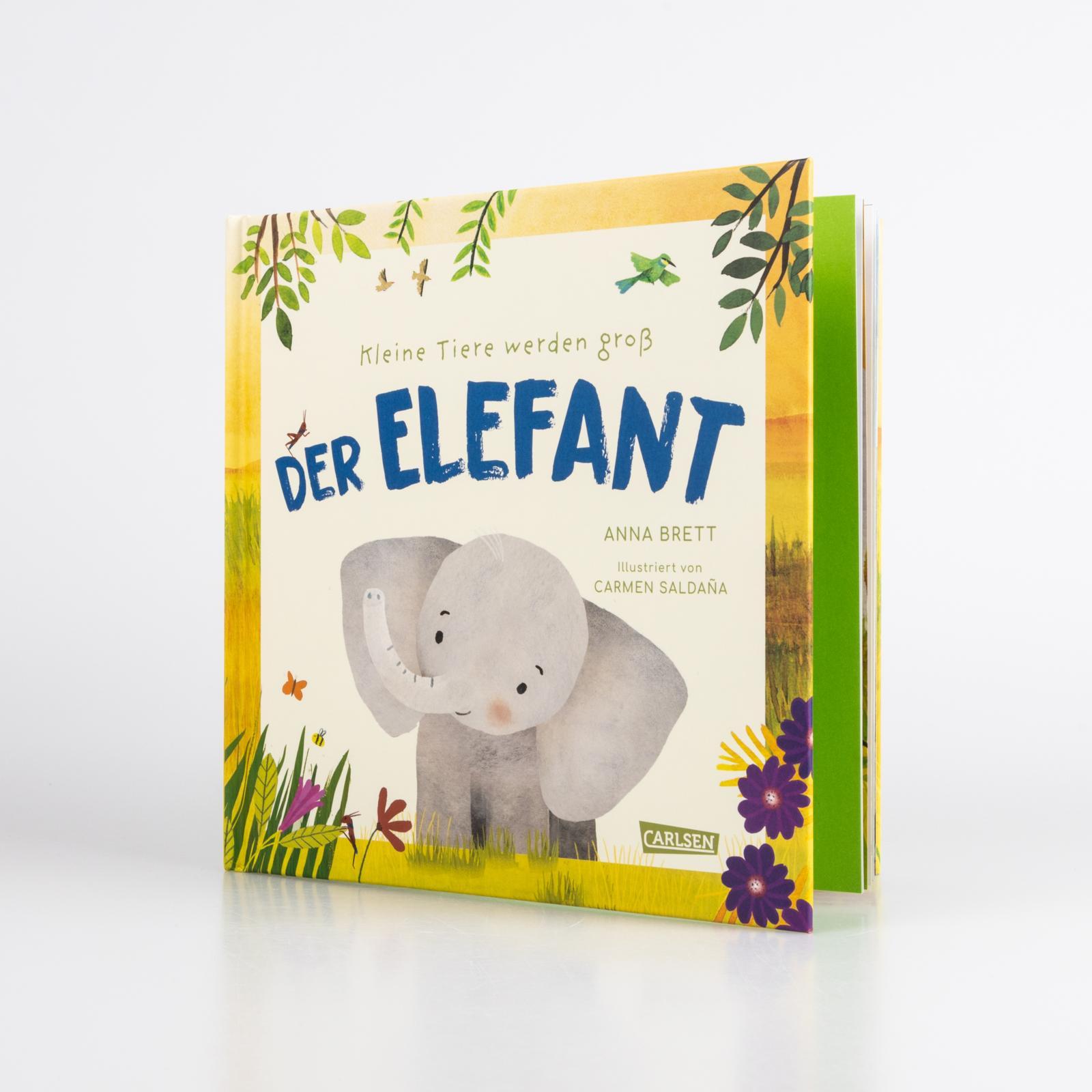 Beispielinhalt (Bild) Kleine Tiere werden groß - Der Elefant