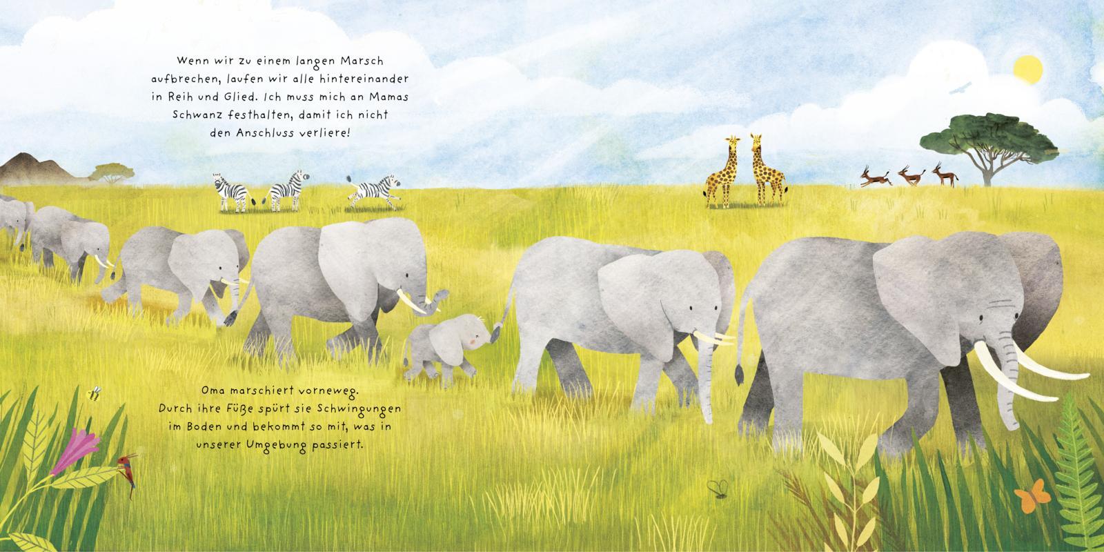 Beispielinhalt (Bild) Kleine Tiere werden groß - Der Elefant