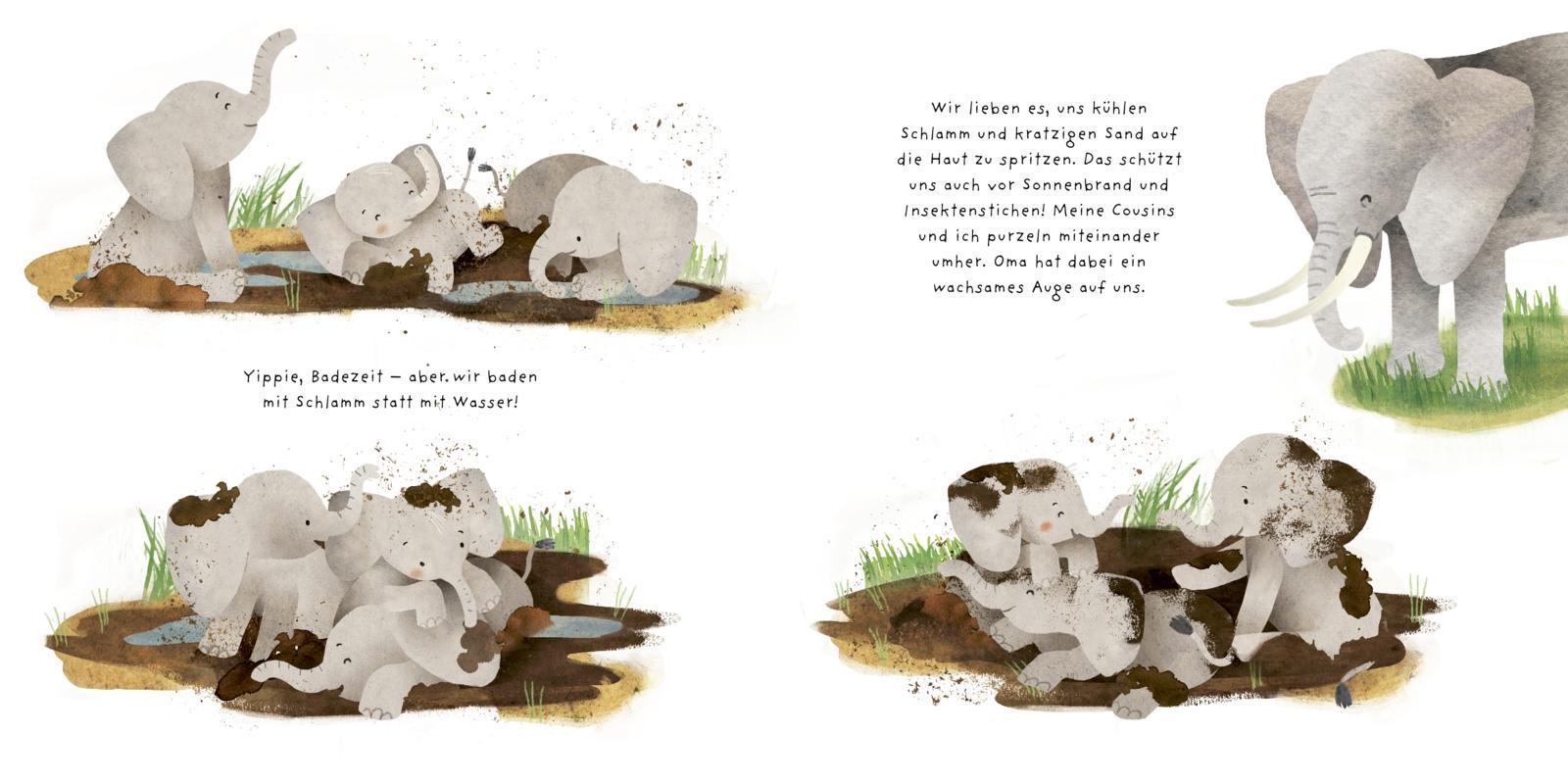 Beispielinhalt (Bild) Kleine Tiere werden groß - Der Elefant