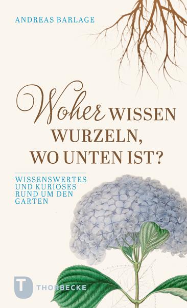 Vorderes Coverbild Woher wissen Wurzeln, wo unten ist?