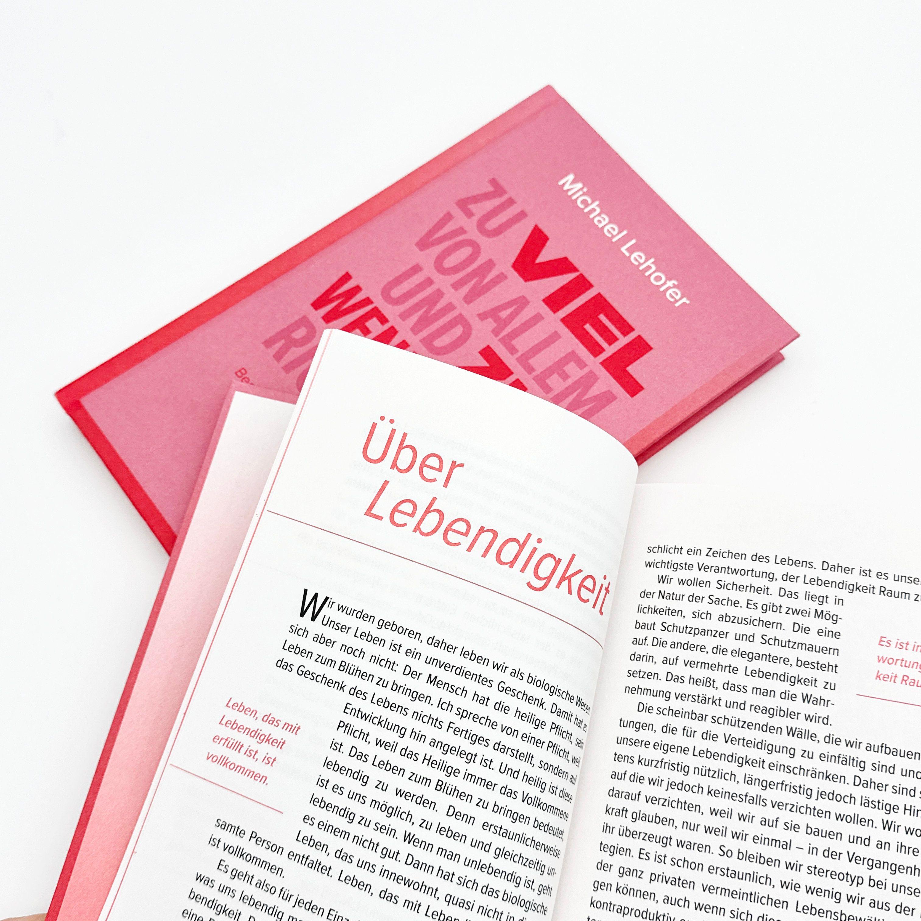 Beispielinhalt (Bild) Zu viel von Allem und zu wenig vom Richtigen