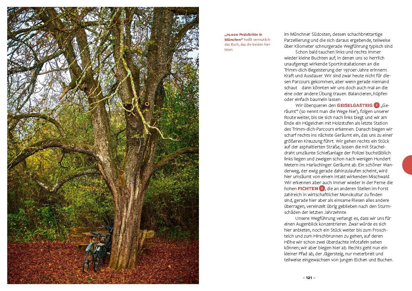 Beispielinhalt (Bild) 10.000 Schritte in München