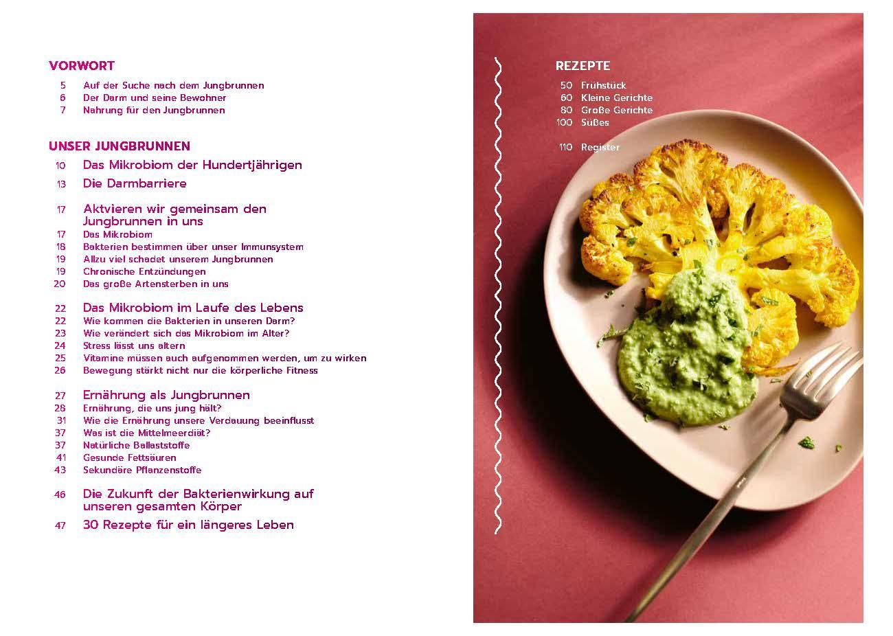 Beispielinhalt (Bild) Der Darm