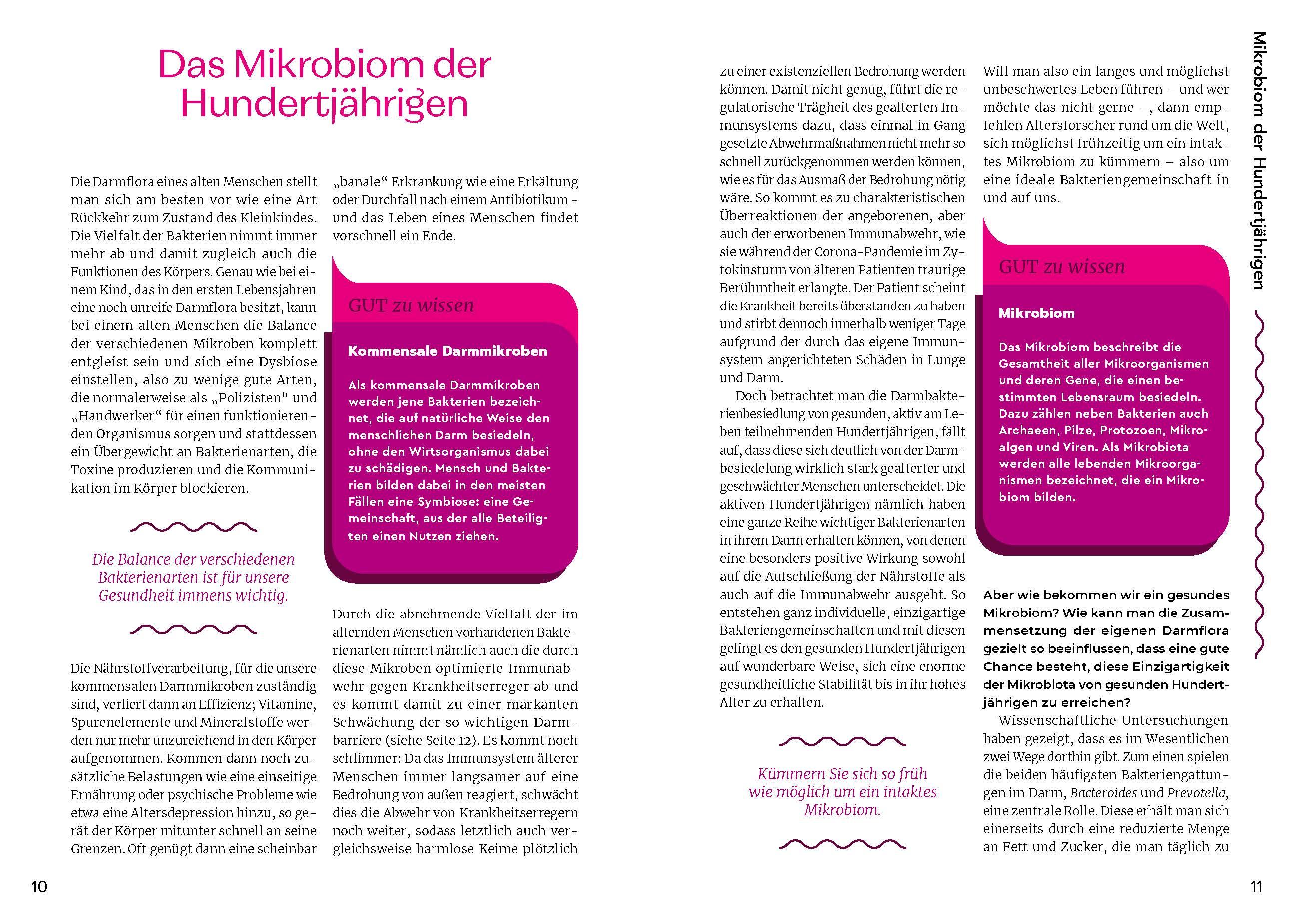 Beispielinhalt (Bild) Der Darm